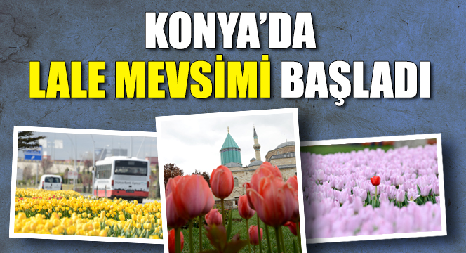 Konya'da 'Lale Mevsimi' Başladı