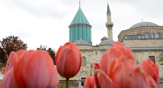 Konya'da 'Lale Mevsimi' Başladı