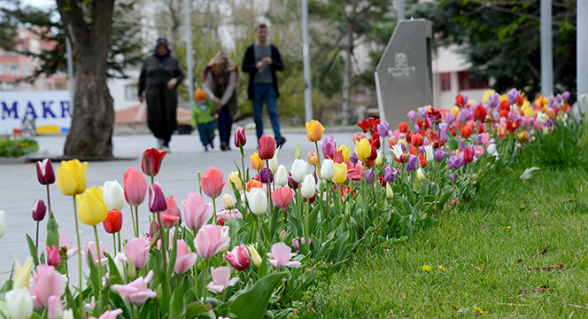 Konya'da 'Lale Mevsimi' Başladı