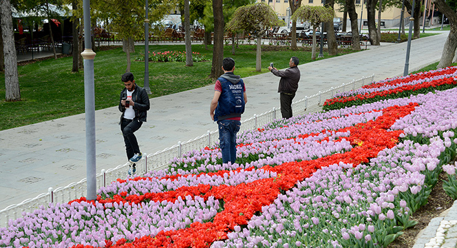 Konya'da 'Lale Mevsimi' Başladı