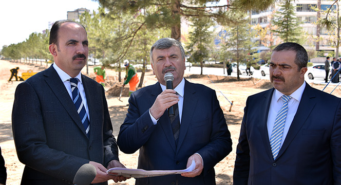 Köprülü Kavşak Çalışmalarından Nakledilen Ağaçlar Bu Parkta Yeşeriyor