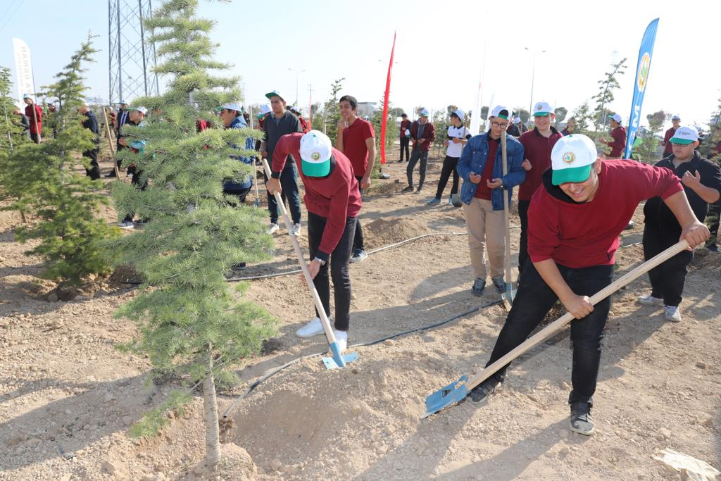 Cumhurbaşkanı Erdoğan Konya'daki 'Geleceğe Nefes' Programına Canlı Bağlandı