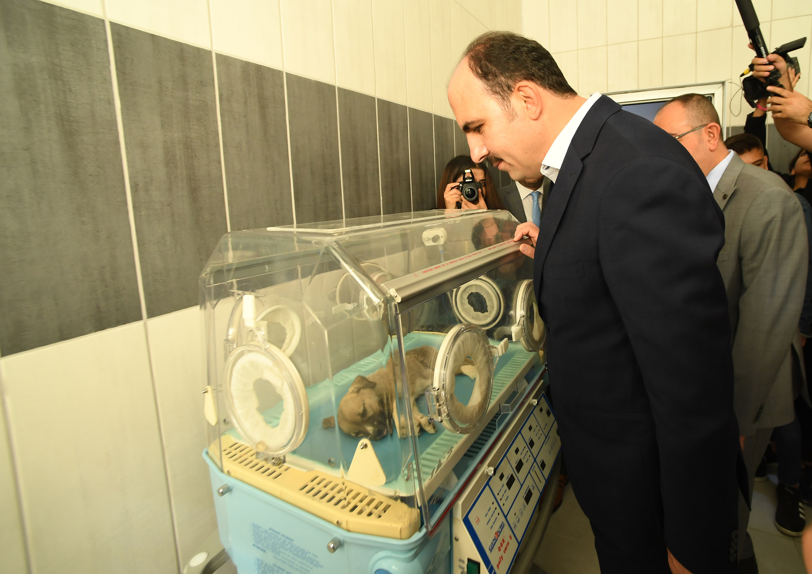 Türkiye'nin En Büyük ve En Modern Hayvan Barınağı Konya'da