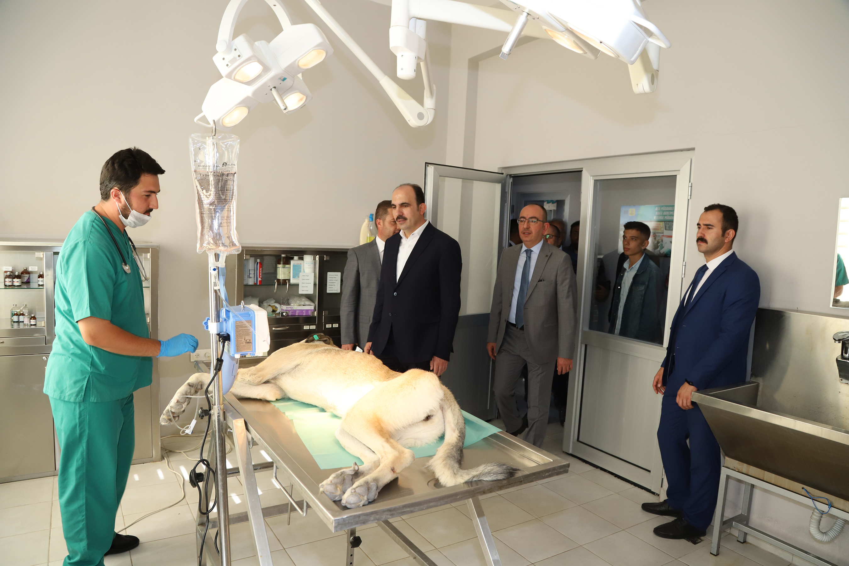 Türkiye'nin En Büyük ve En Modern Hayvan Barınağı Konya'da