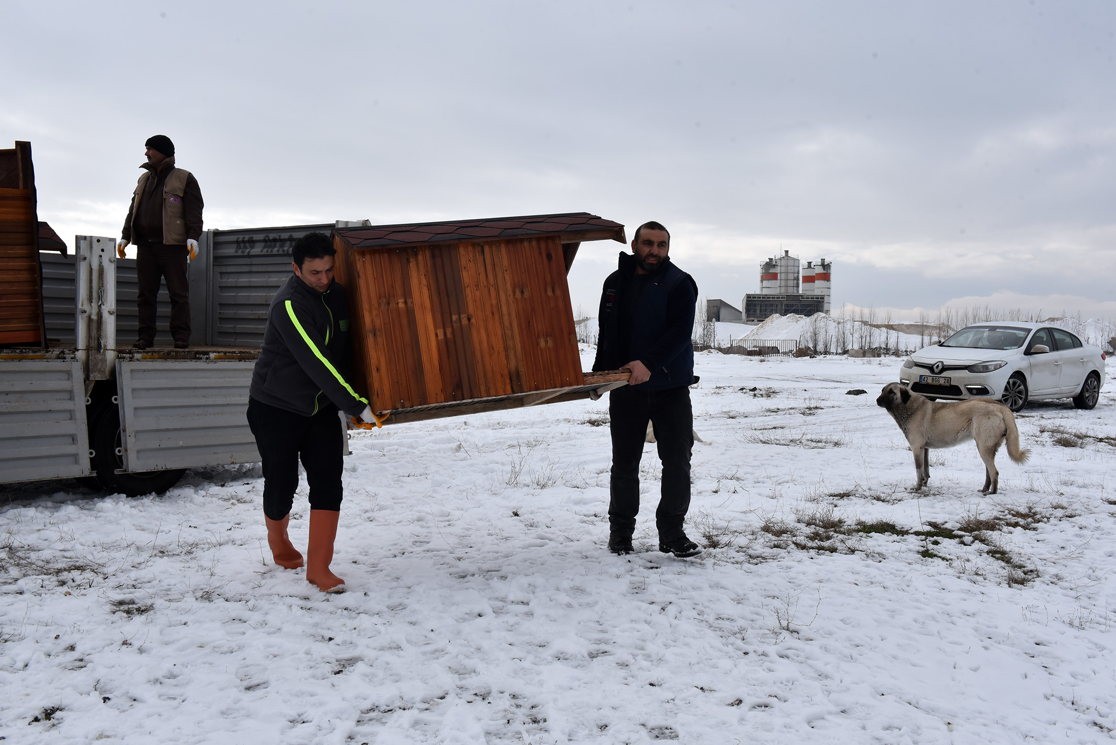 Büyükşehir'den Sokak Köpeklerine Sıcak Yuva