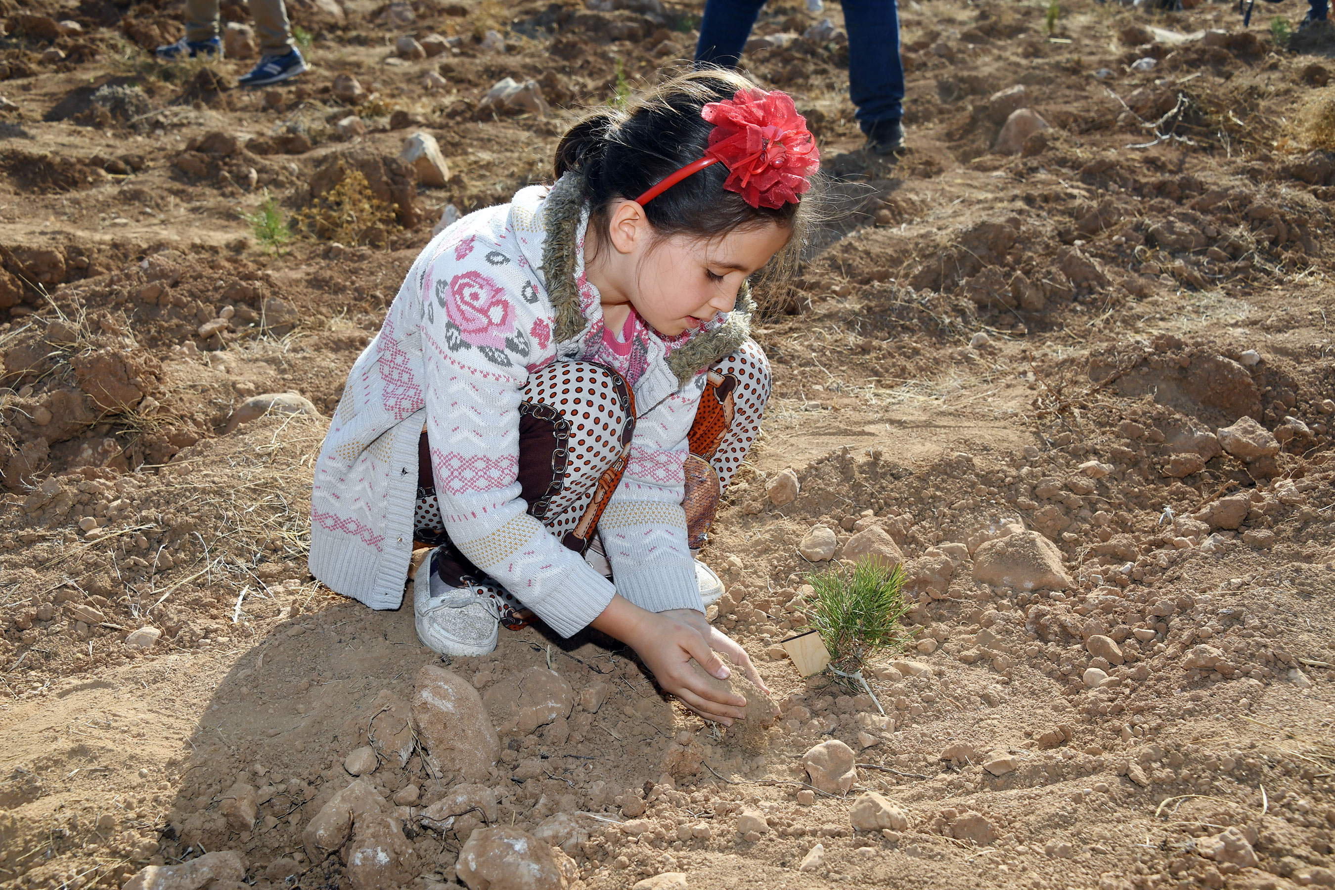 KOSKİ'DEN 'Geleceğe Nefes' İçin 42 Bin Fidan  