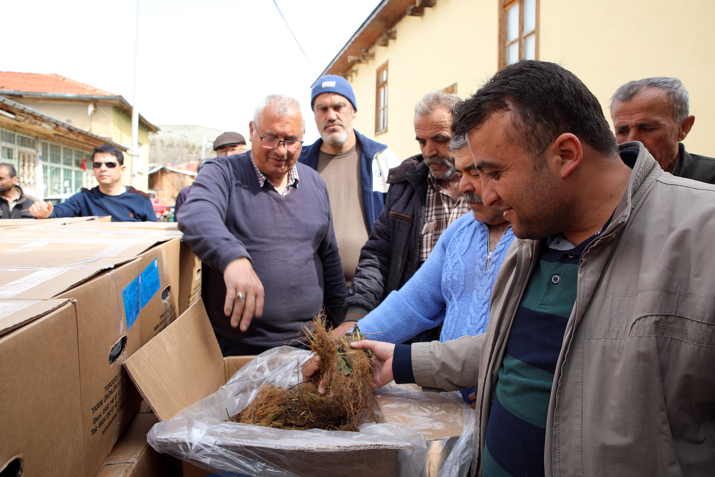 Büyükşehir'den Çilek Üreticisine Büyük Destek 