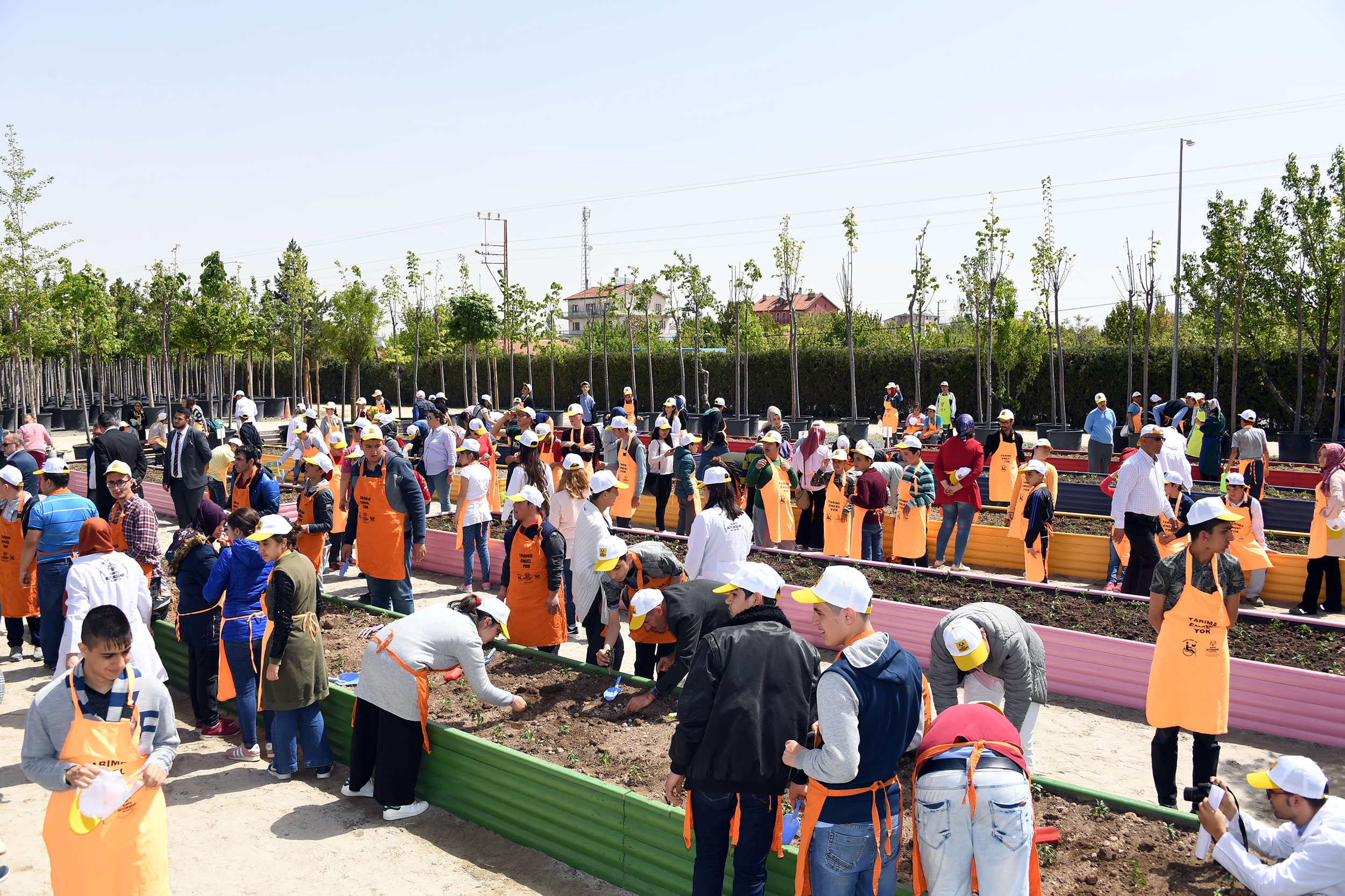 Başkan Altay, Özel Öğrencilerle Fide Dikti