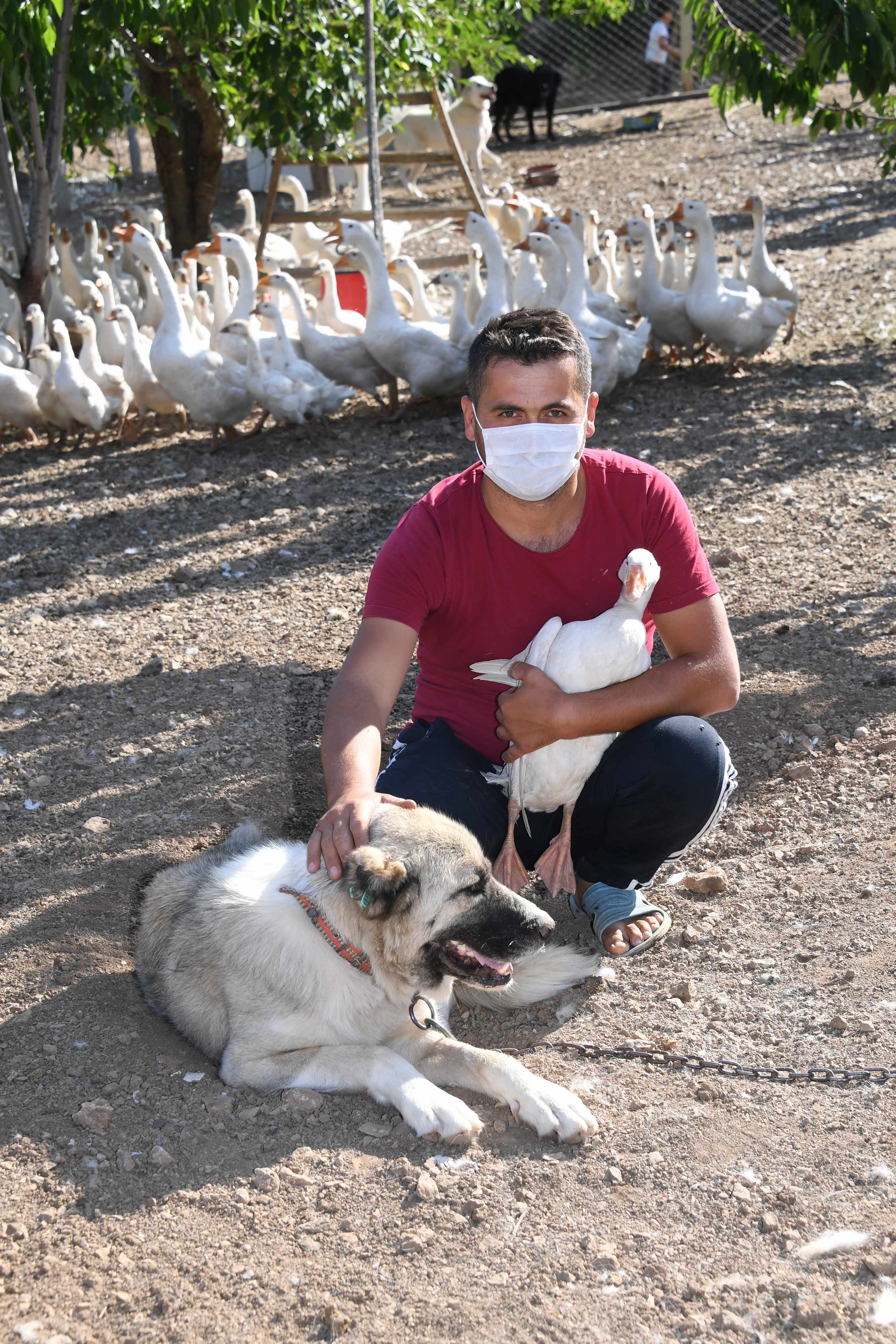 Konya'da Köpeklere Şefkatli ve Huzurlu Yuva