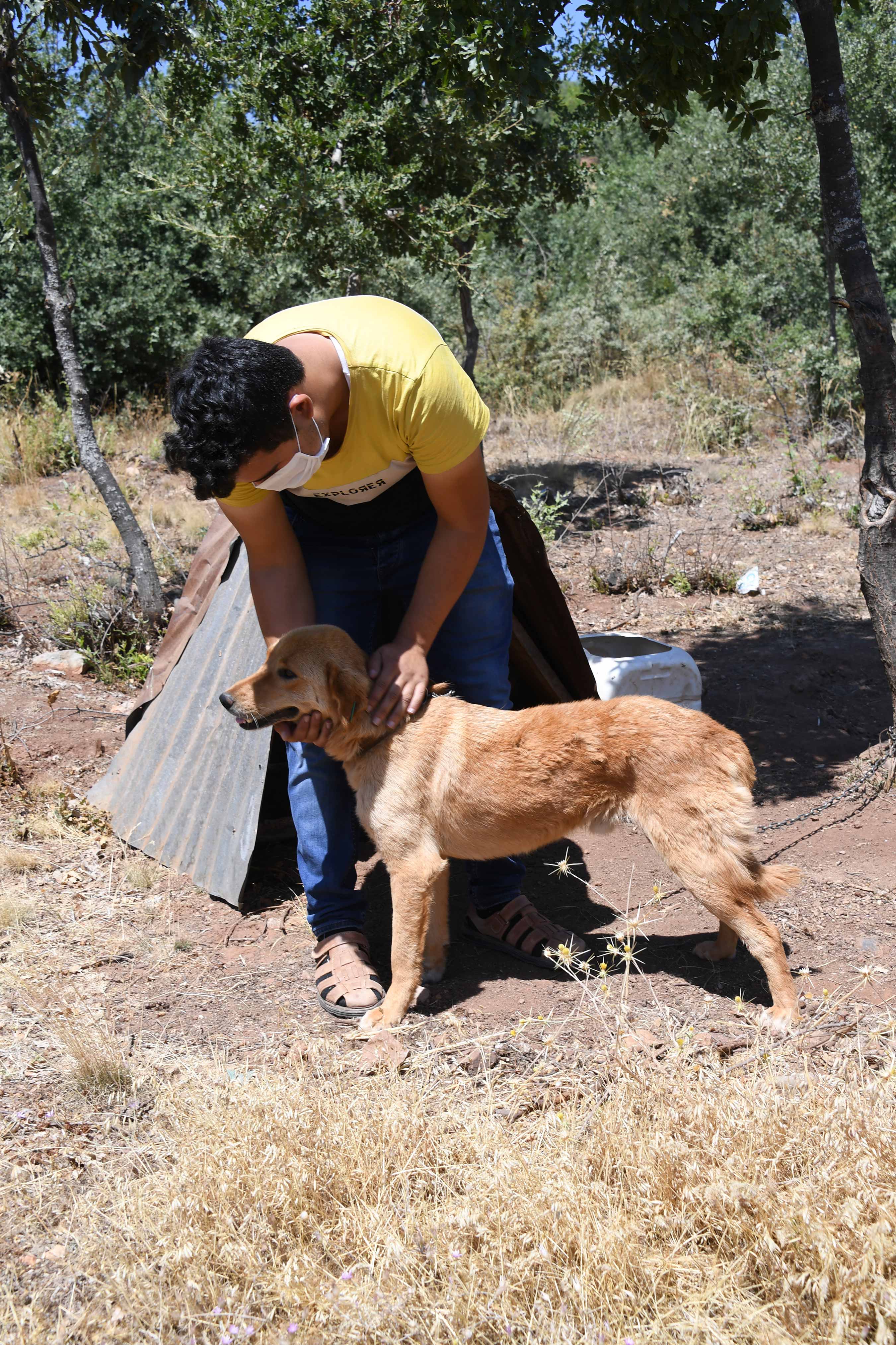 Konya'da Köpeklere Şefkatli ve Huzurlu Yuva