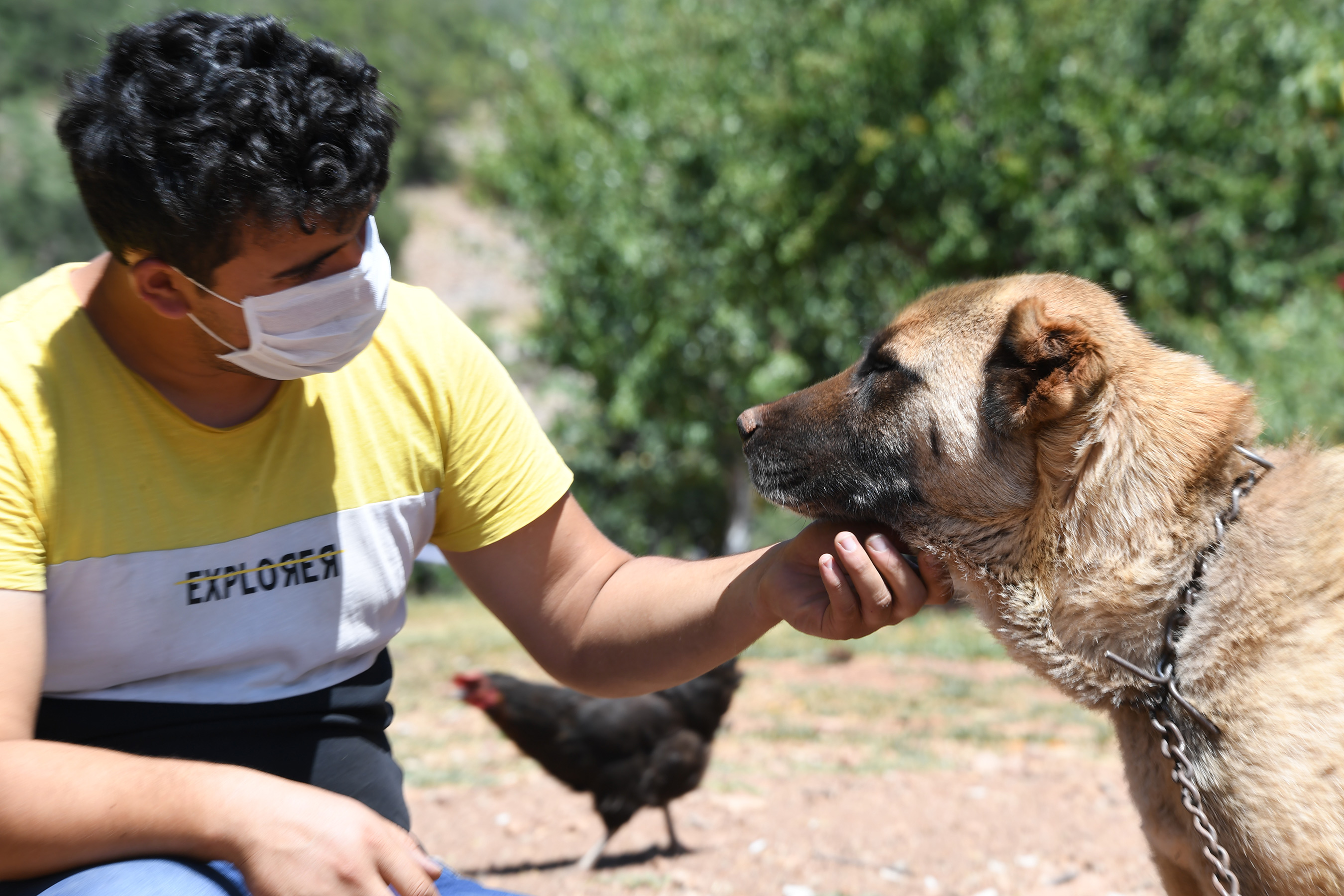 Konya'da Köpeklere Şefkatli ve Huzurlu Yuva
