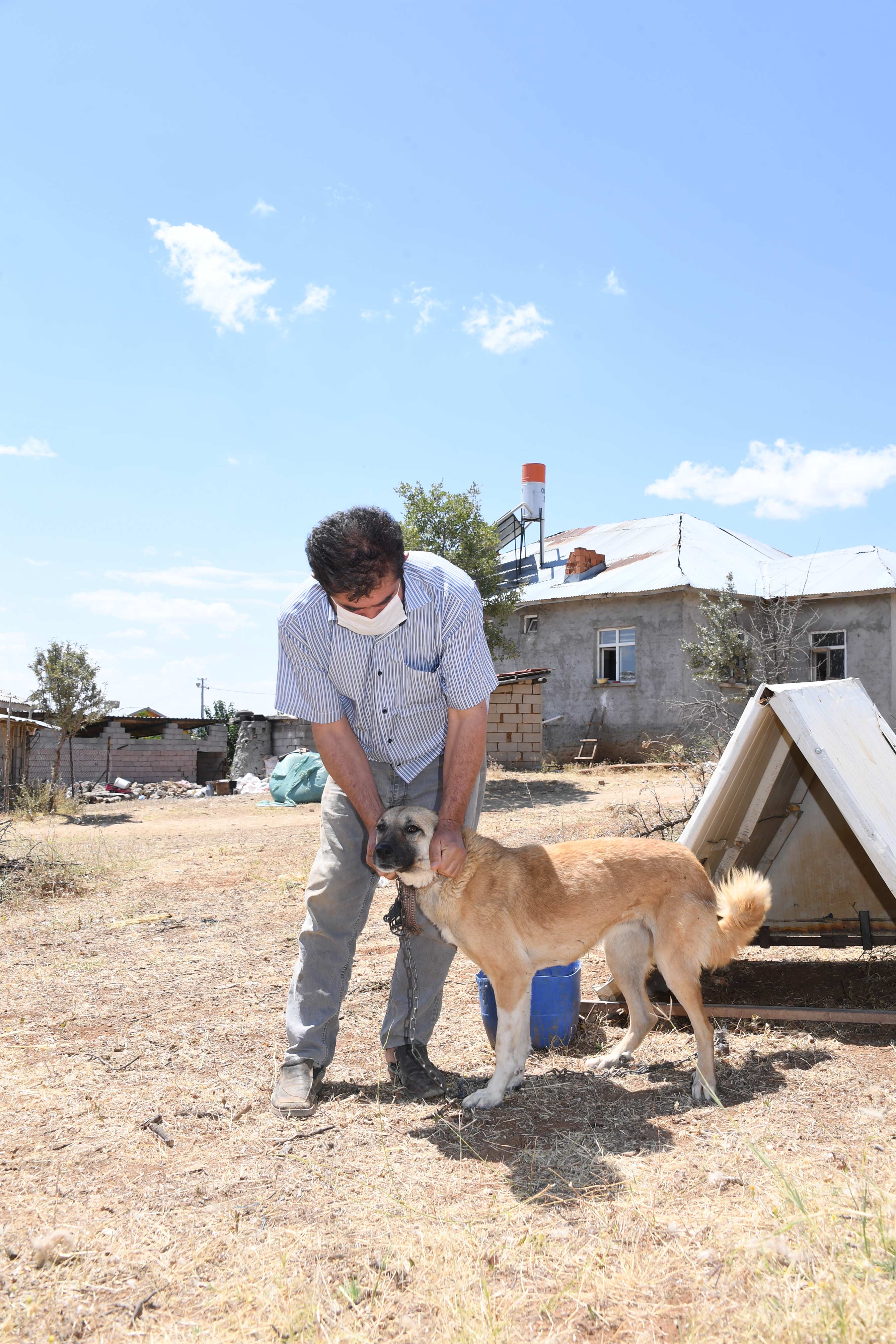 Konya'da Köpeklere Şefkatli ve Huzurlu Yuva