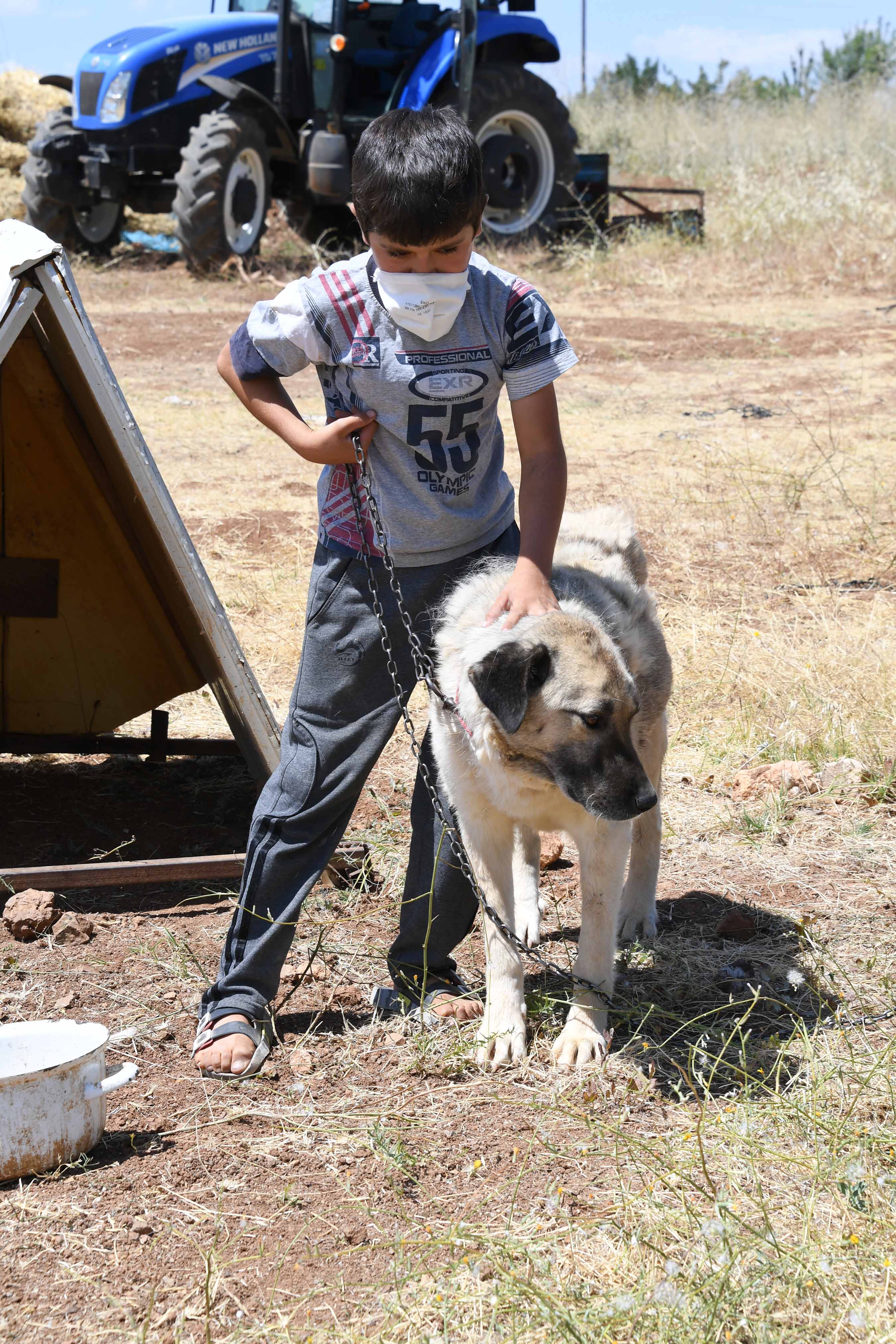 Konya'da Köpeklere Şefkatli ve Huzurlu Yuva