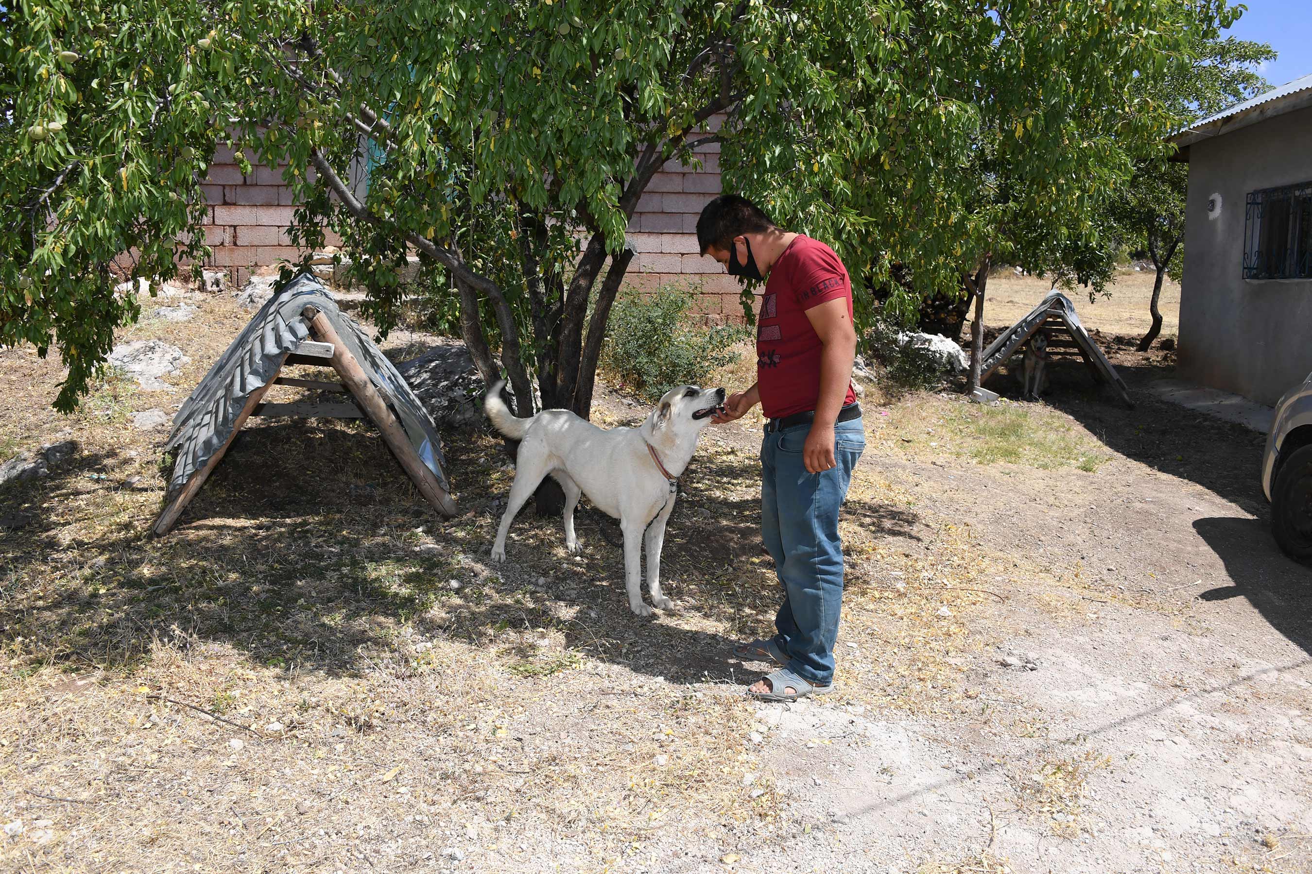 Konya'da Köpeklere Şefkatli ve Huzurlu Yuva