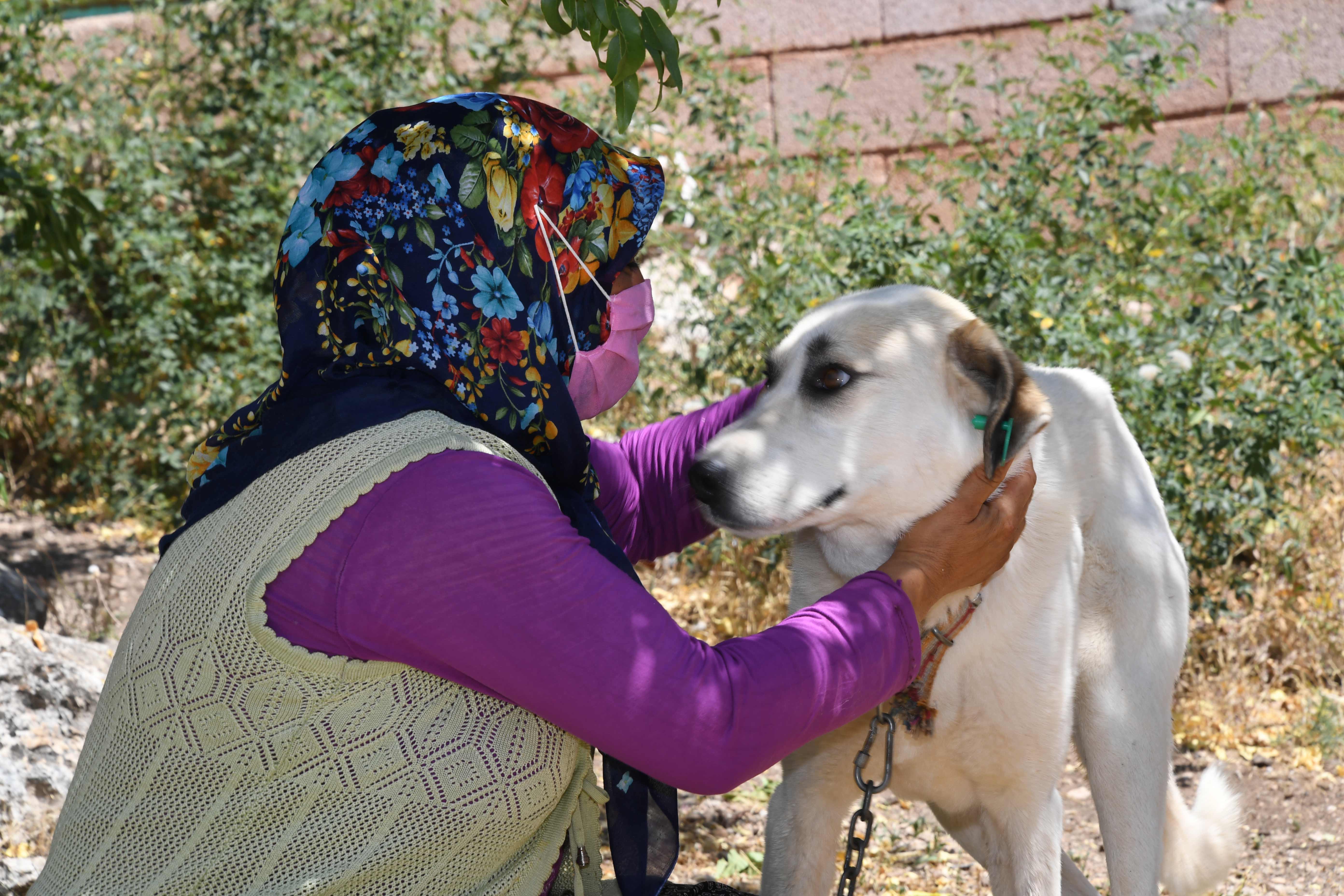 Konya'da Köpeklere Şefkatli ve Huzurlu Yuva
