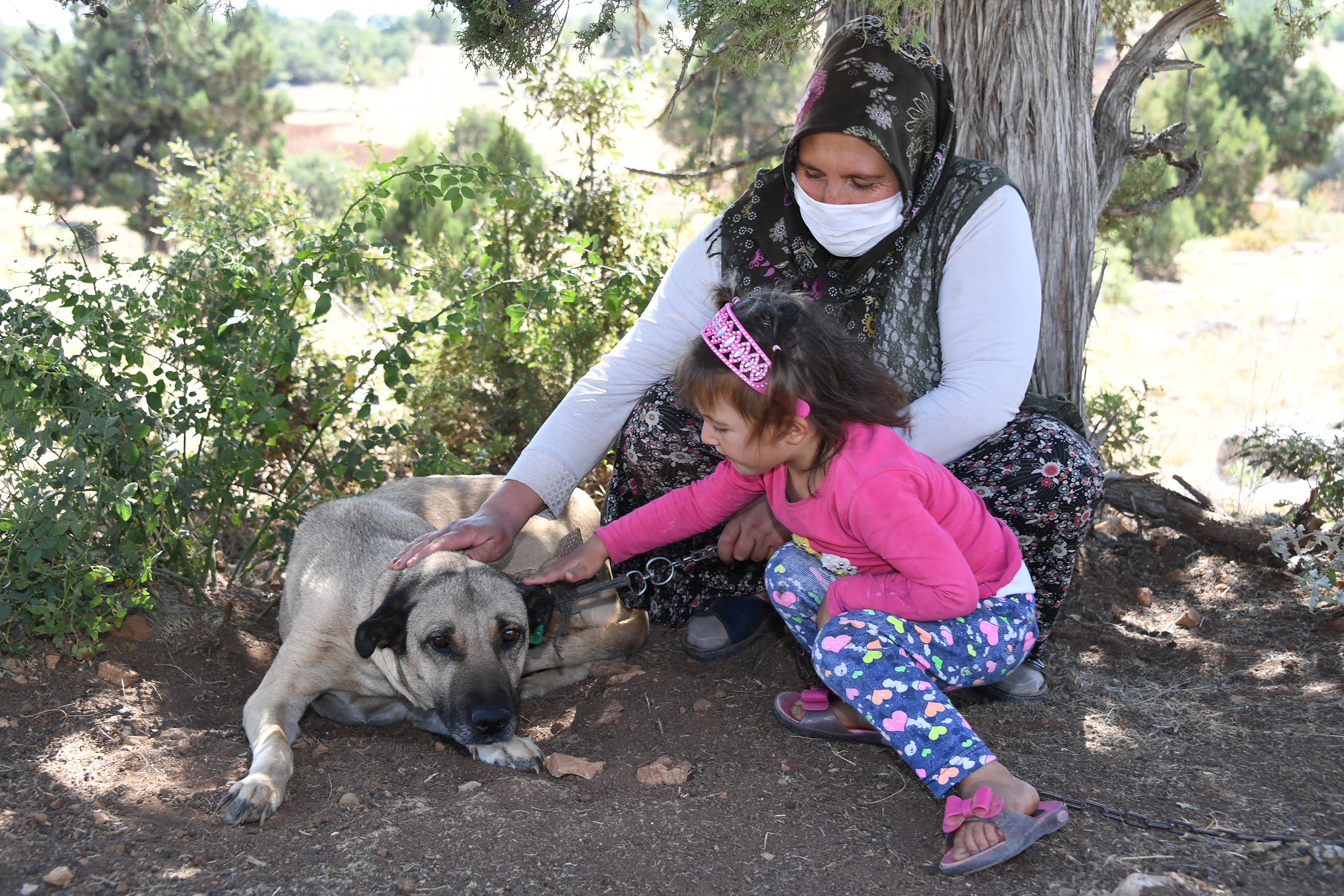 Konya'da Köpeklere Şefkatli ve Huzurlu Yuva