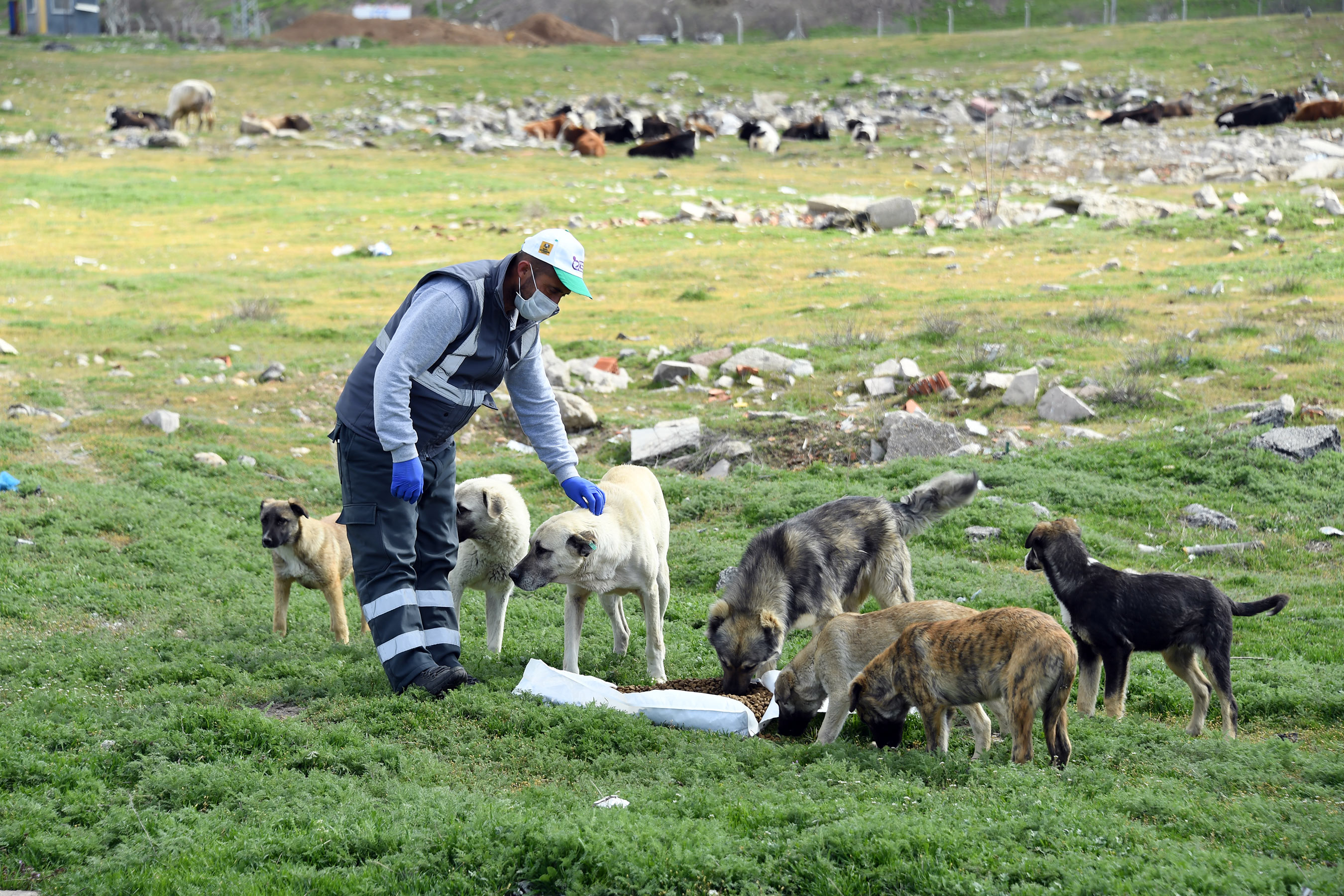 Başkan Altay Dünya Hayvanları Koruma Günü'nü Kutladı 