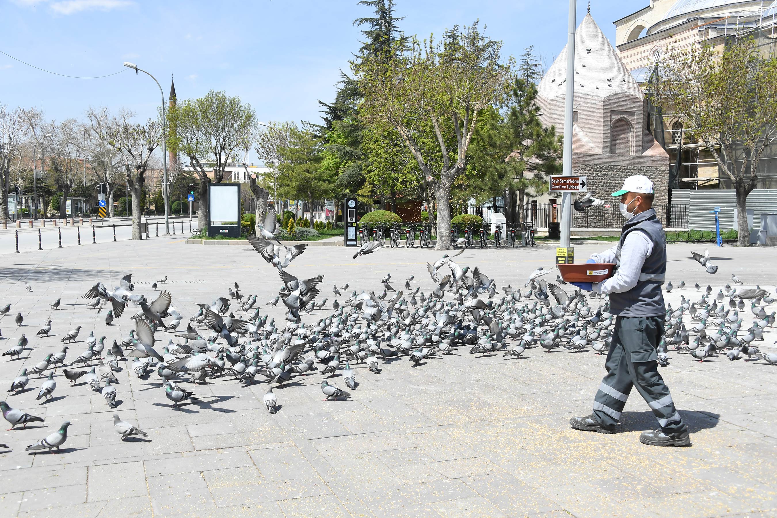 Başkan Altay Dünya Hayvanları Koruma Günü'nü Kutladı 