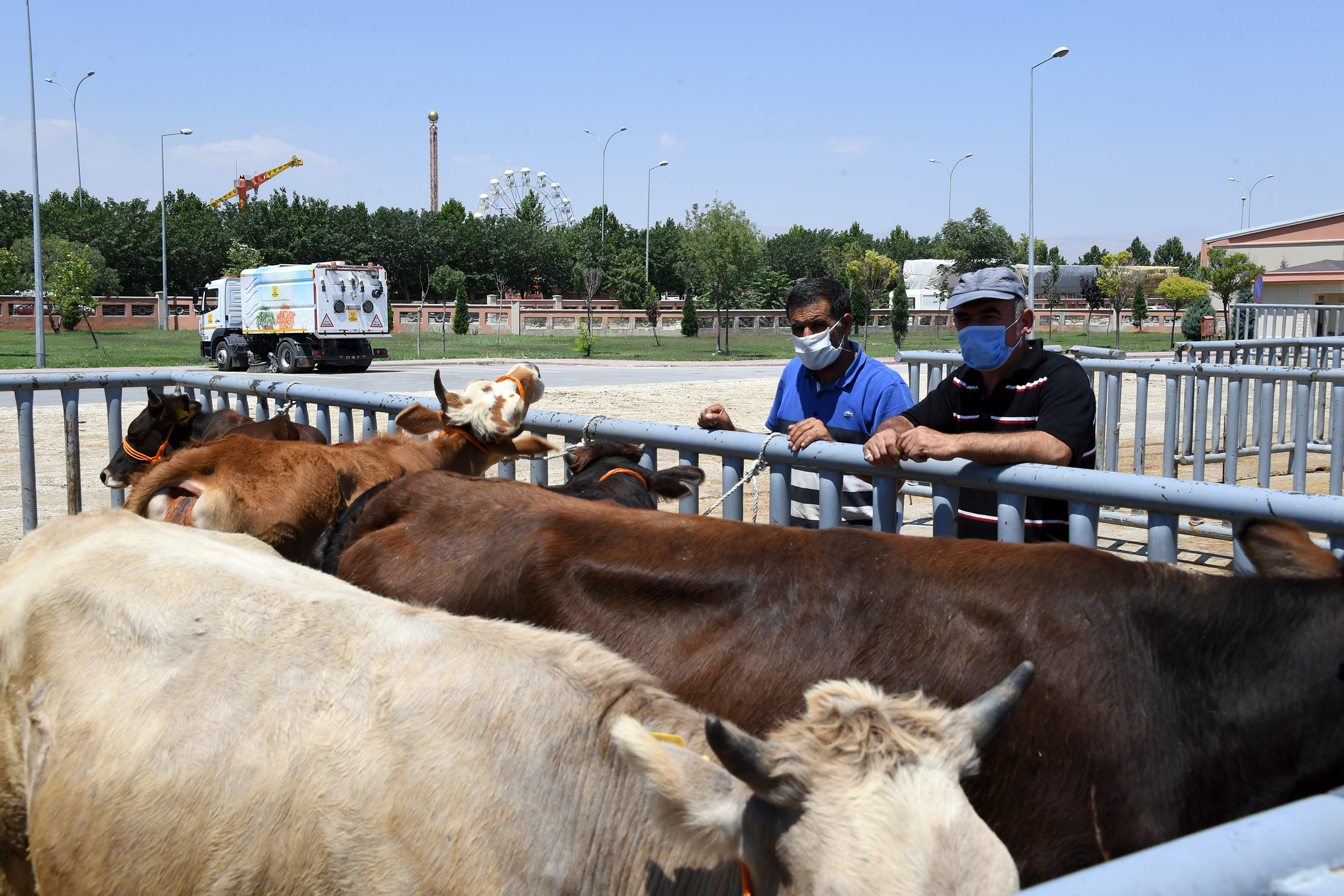 Hayvan Park ve Pazar Yeri Tesislerinde Kurbanlık Satışları Güvenle Yapılıyor