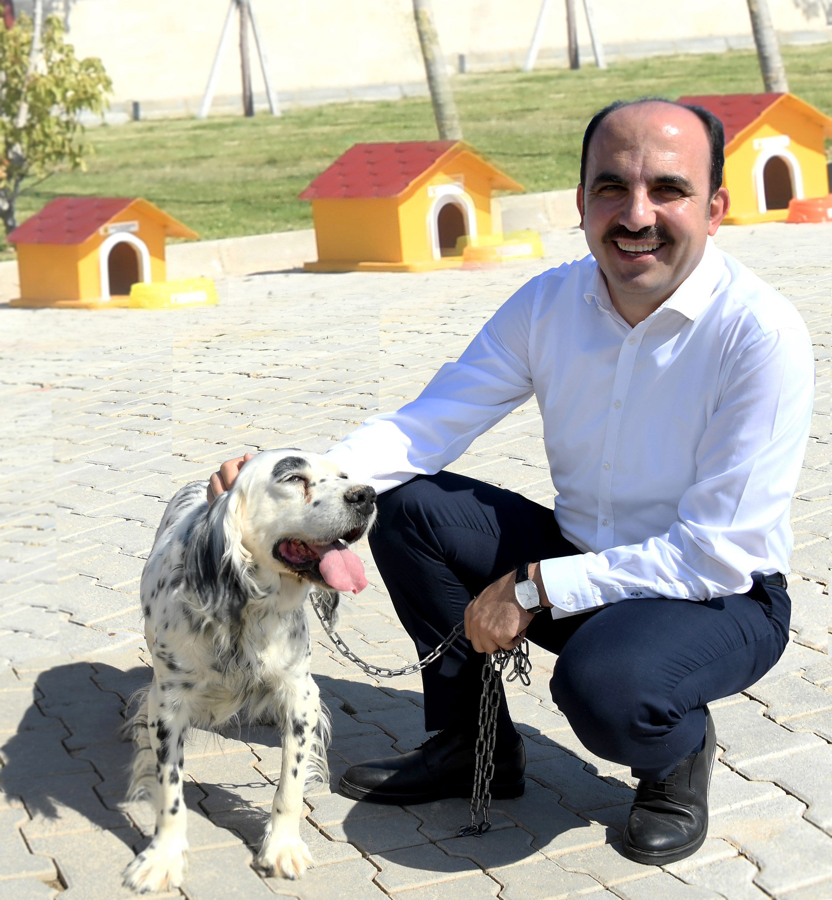 'Gönüllü Hayvan Dostları Projesi' Türkiye'ye Örnek Oluyor