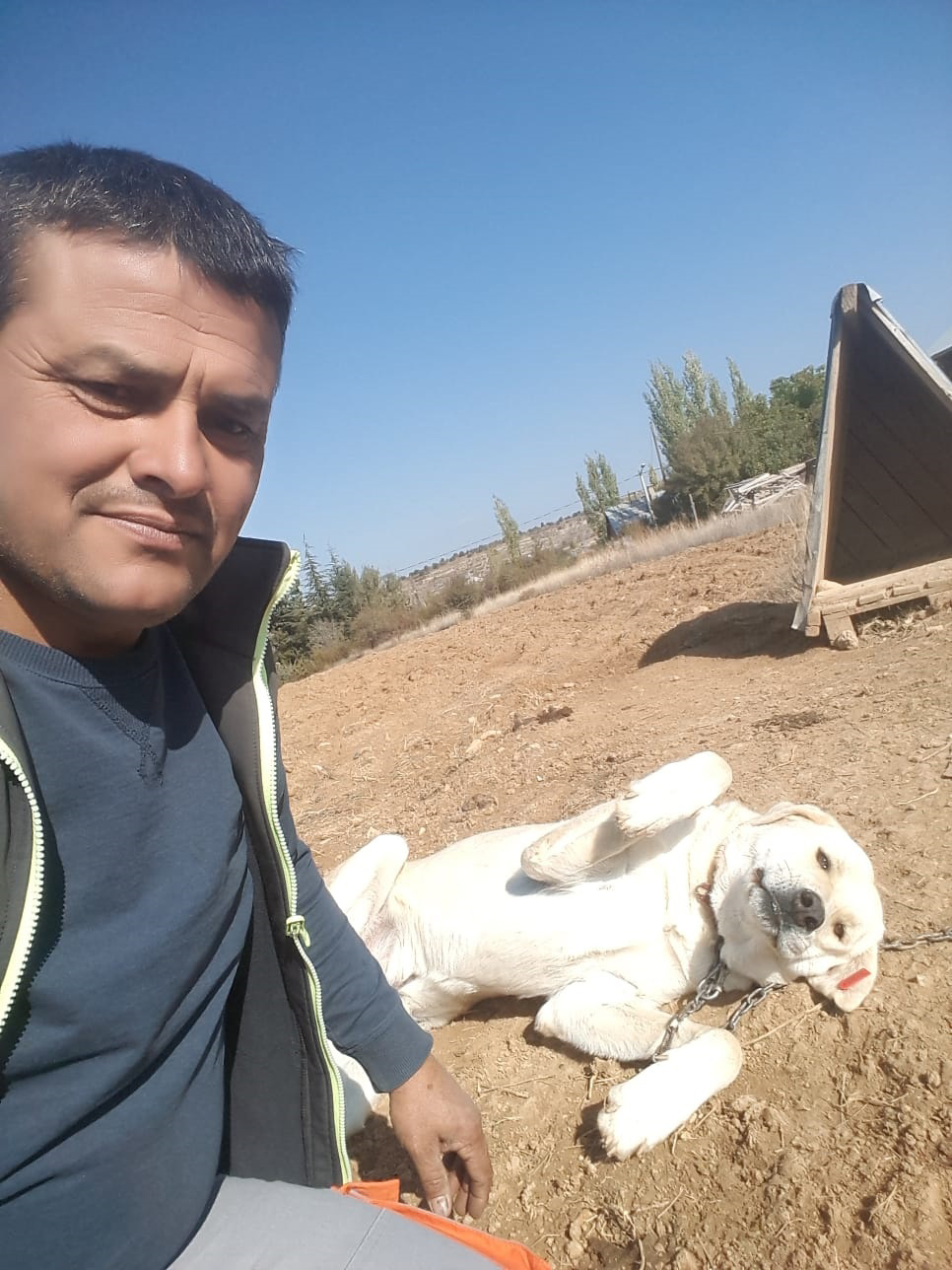 'Gönüllü Hayvan Dostları Projesi' Türkiye'ye Örnek Oluyor