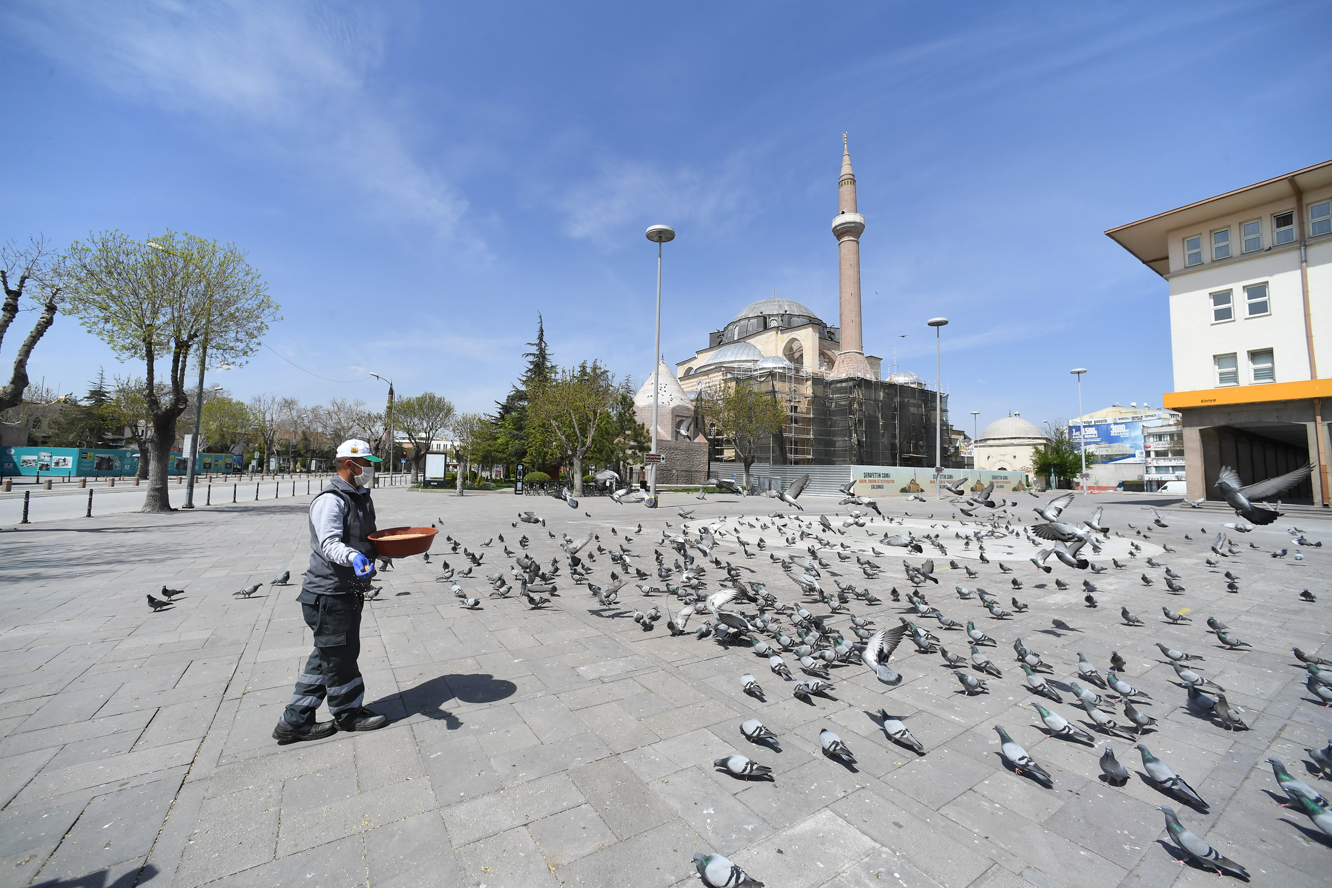 Konya'da Sokak Hayvanları Bayramda da Yalnız Değil 