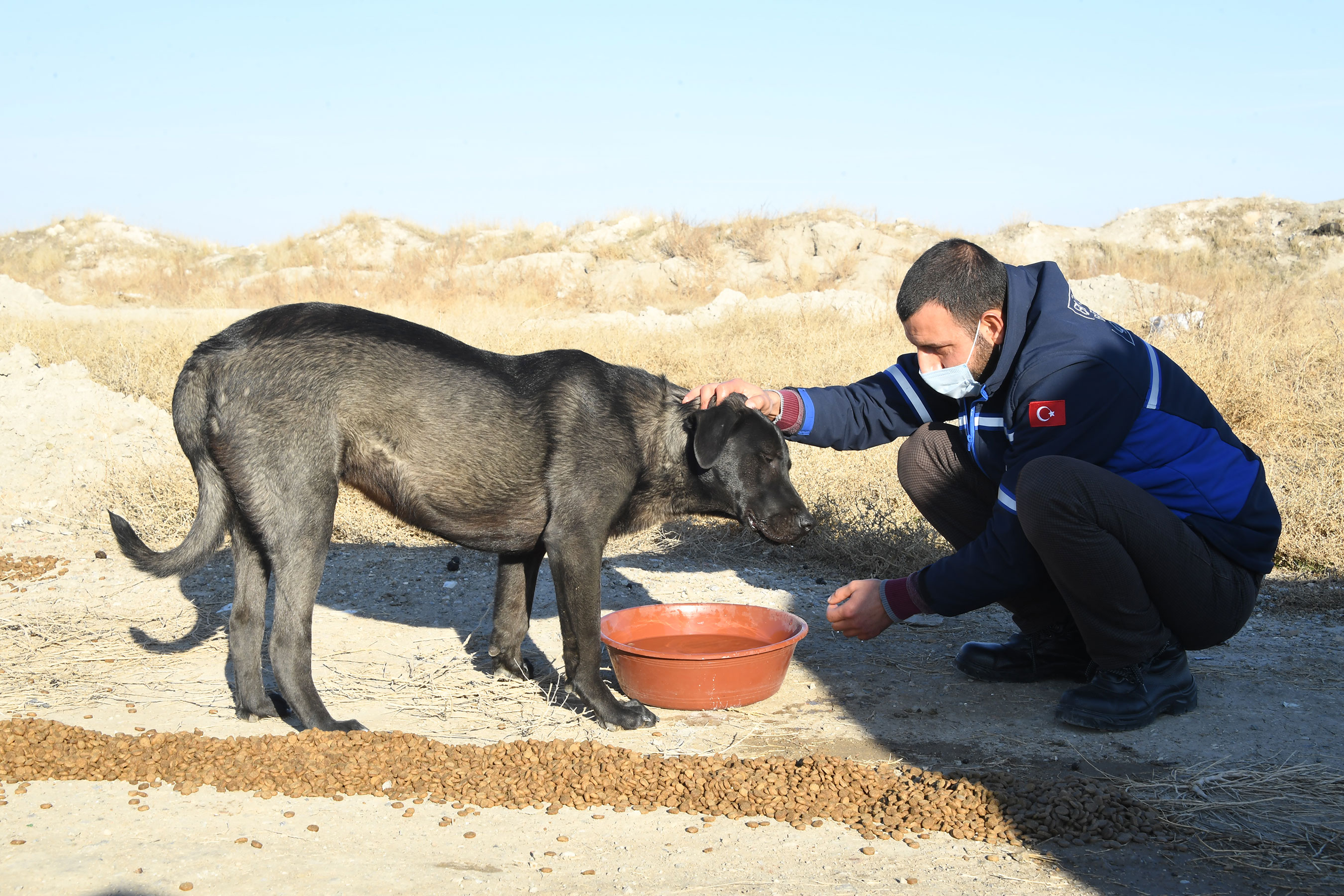 Can Dostlarımız Konya Büyükşehir'e Emanet