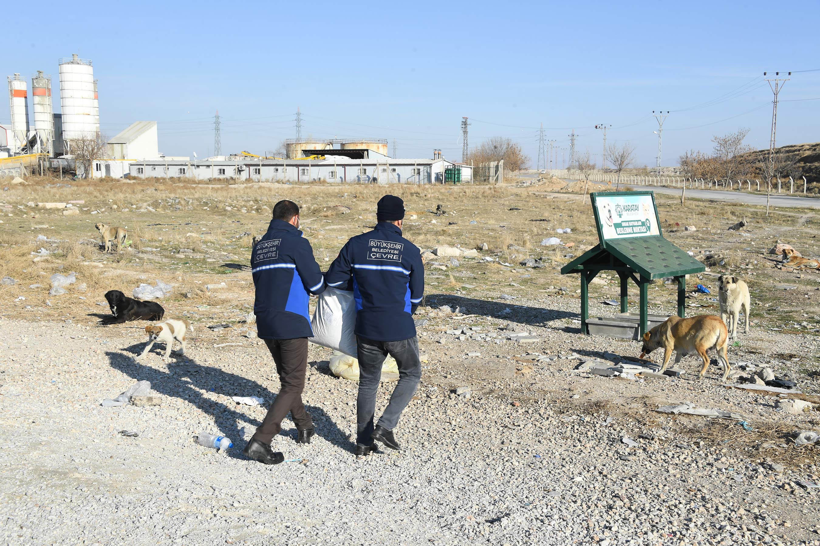Can Dostlarımız Konya Büyükşehir'e Emanet