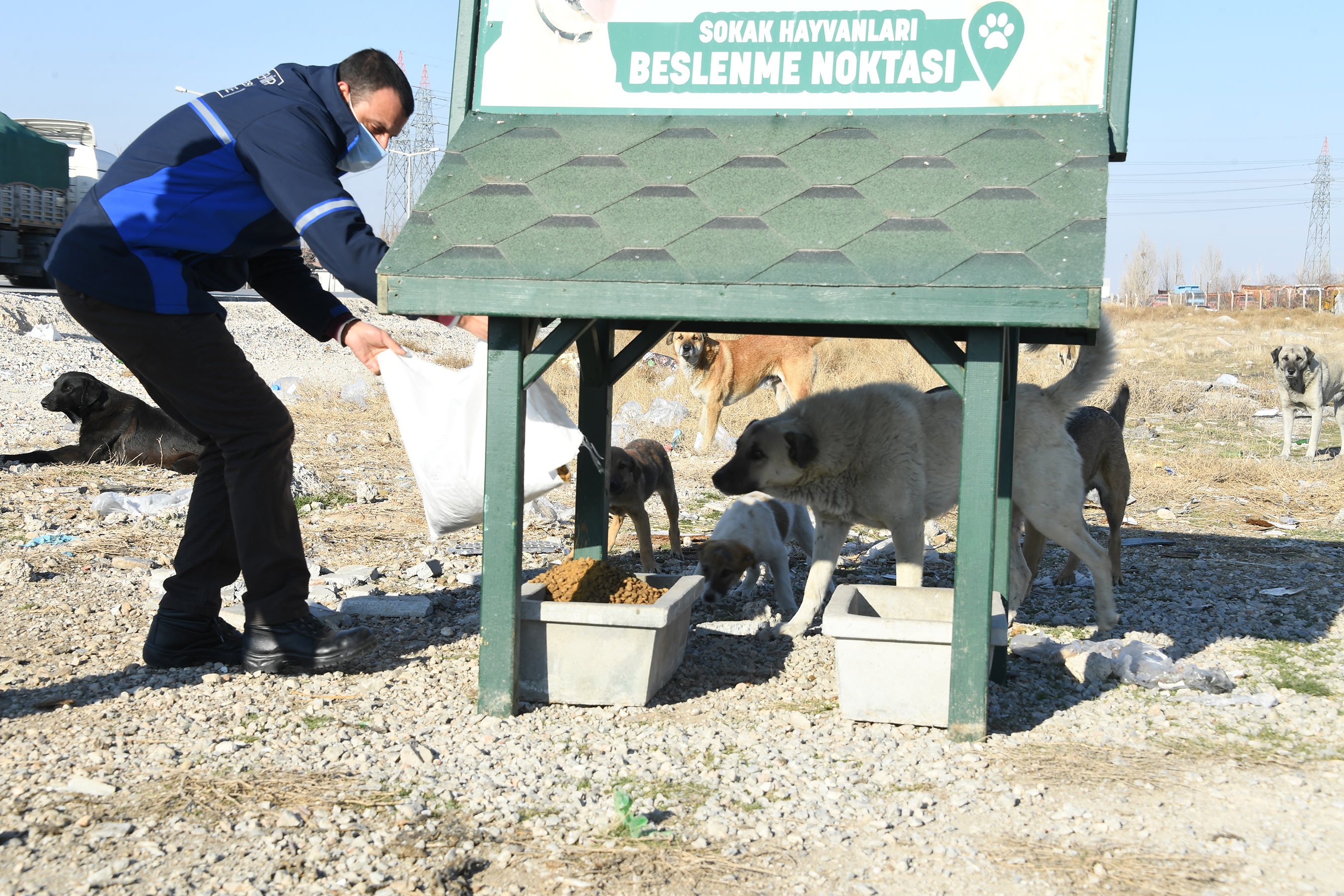 Can Dostlarımız Konya Büyükşehir'e Emanet