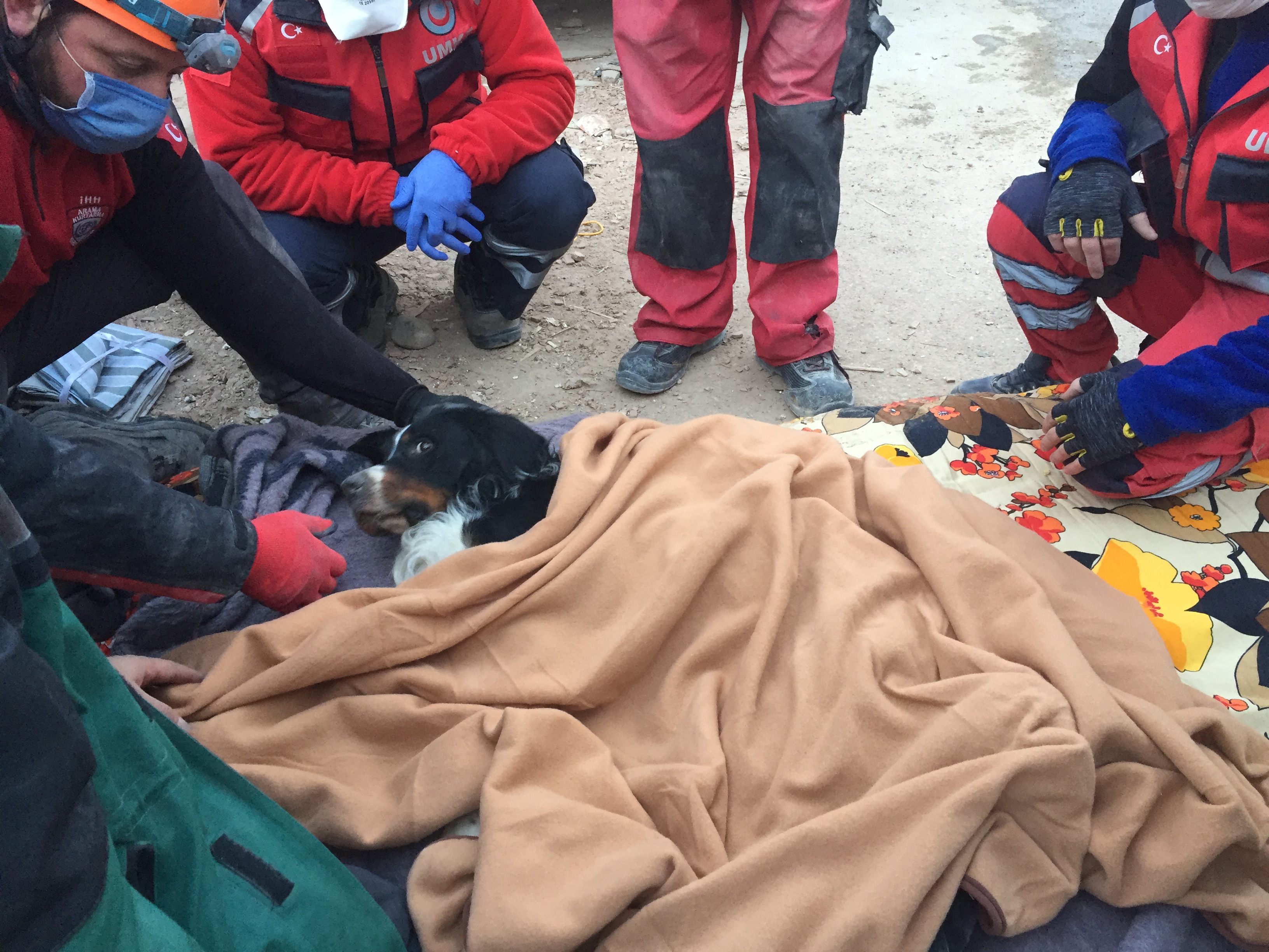 Konya İtfaiyesi Deprem Enkazından Ares İsimli Köpeği Sağ Olarak Çıkardı 