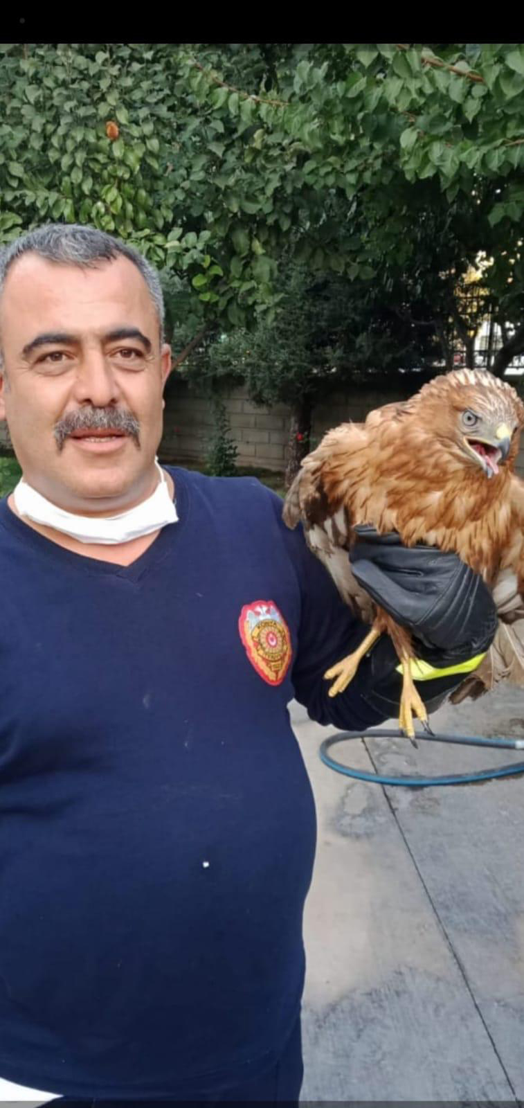 Büyükşehir İtfaiyesi Mahsur Kalan Hayvanların da İmdadına Yetişiyor