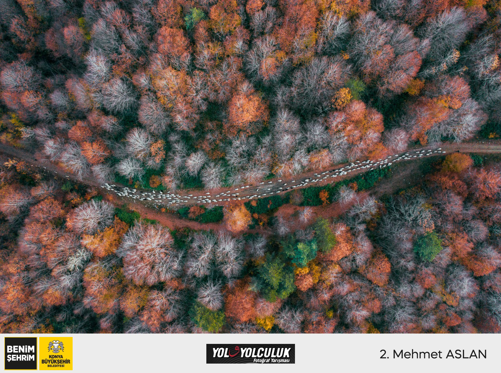 'Yol ve Yolculuk' Yarışmasının Kazananları Belli Oldu