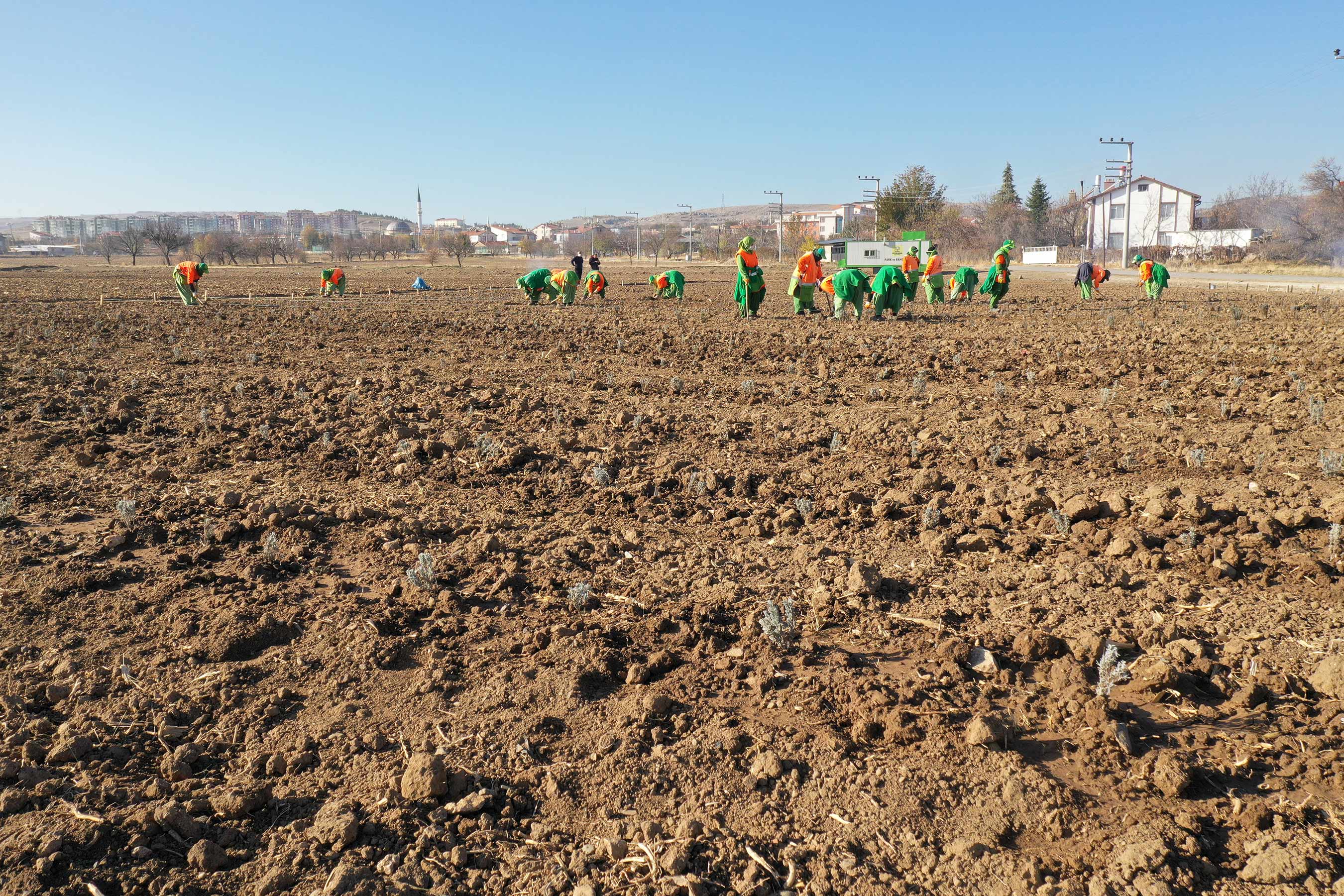 Konya Büyükşehir'den Tıbbi Aromatik Bitki Bahçesi