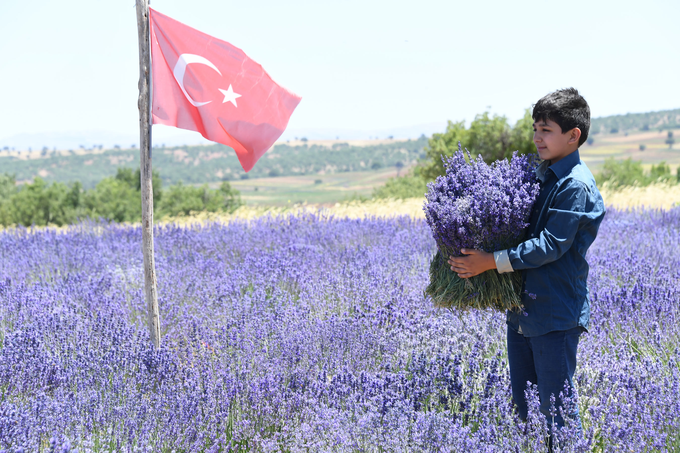 Güneysınır'da Ekilen Lavantanın İlk Hasadı Yapıldı