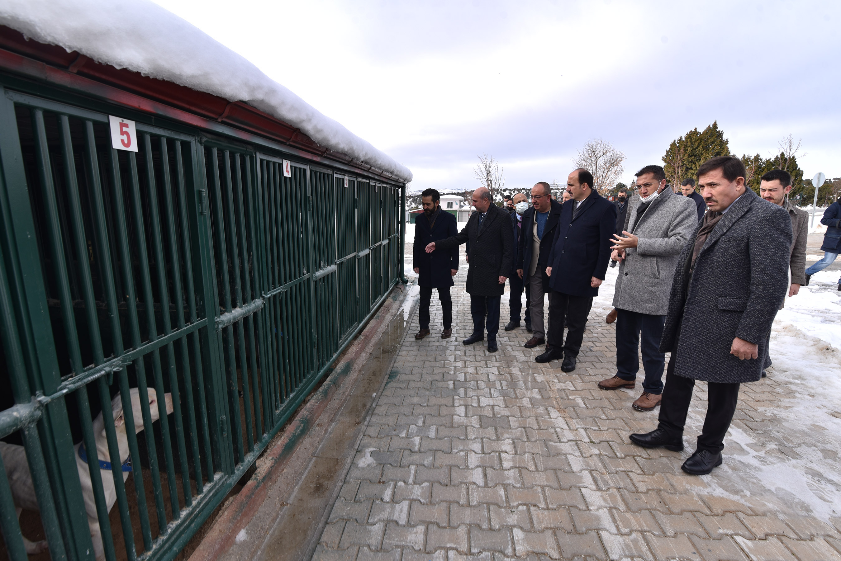 Konya'da Sahipsiz Sokak Hayvanları 'Yerden Isıtmalı' Bakım Odalarında Ağırlanıyor
