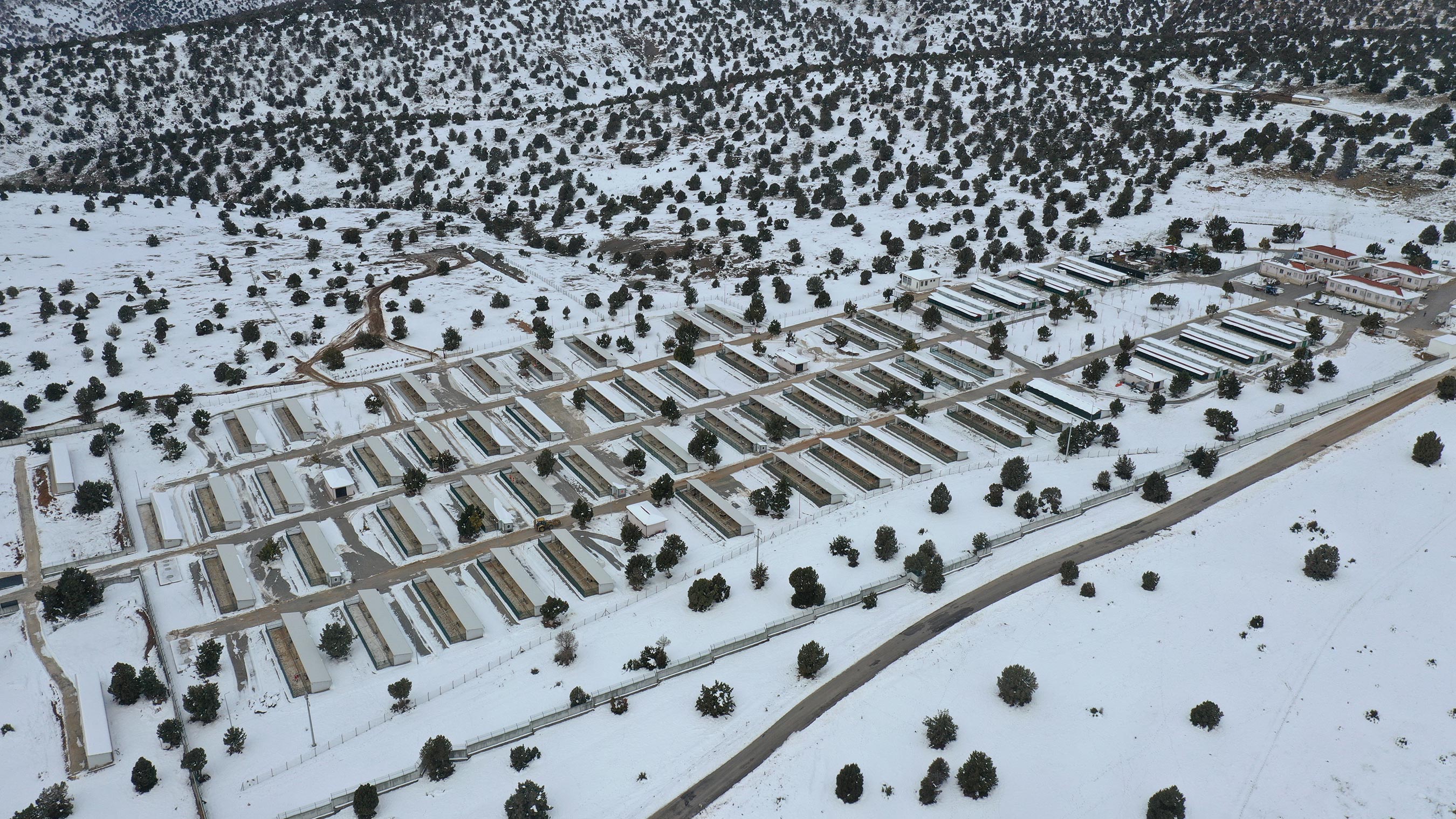 Konya'da Sahipsiz Sokak Hayvanları 'Yerden Isıtmalı' Bakım Odalarında Ağırlanıyor