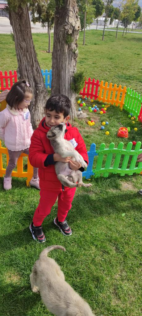 Öğrencilerden Büyükşehir Belediyesi Hayvan Barınağına Ziyaret