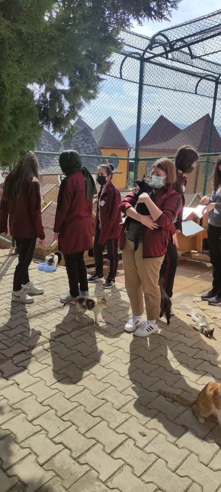 Öğrencilerden Büyükşehir Belediyesi Hayvan Barınağına Ziyaret
