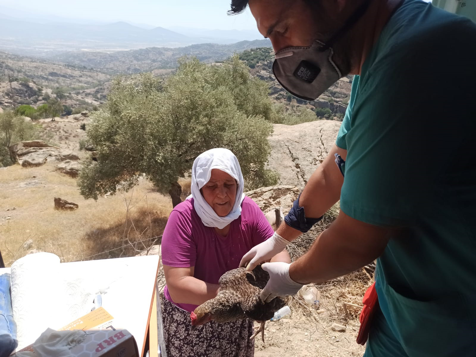 'Canbulan' Manavgat'tan Sonra Şimdi Muğla'da 