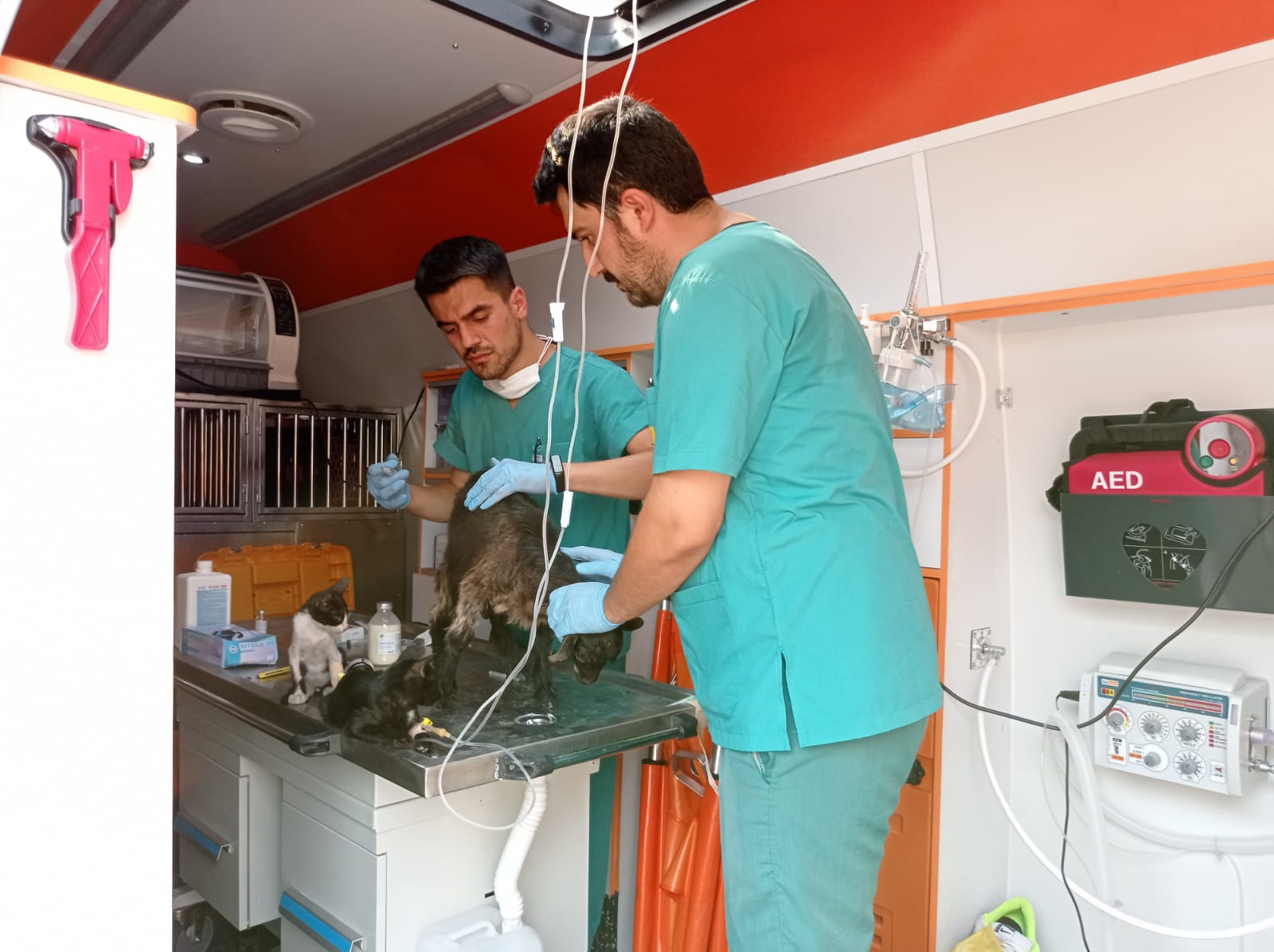 'Canbulan' Yangından Zarar Gören Hayvanların Yarasını Sarıyor 