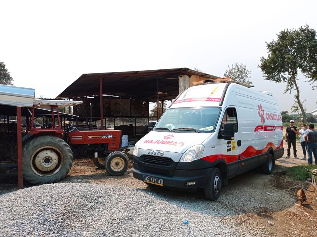 'Canbulan' Yangından Zarar Gören Hayvanların Yarasını Sarıyor 
