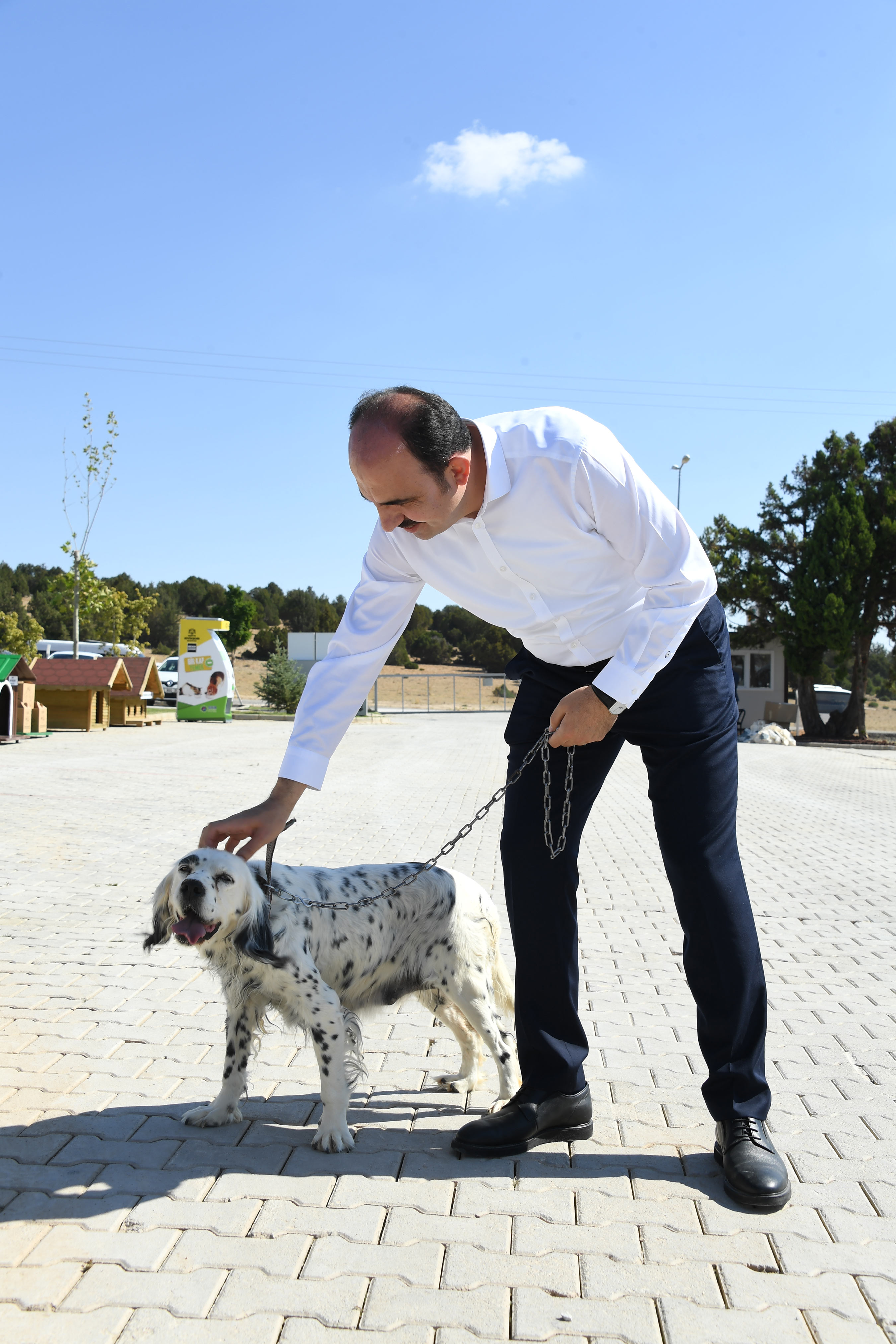 Gönüllü Hayvan Dostları Projesi Örnek Alınıyor
