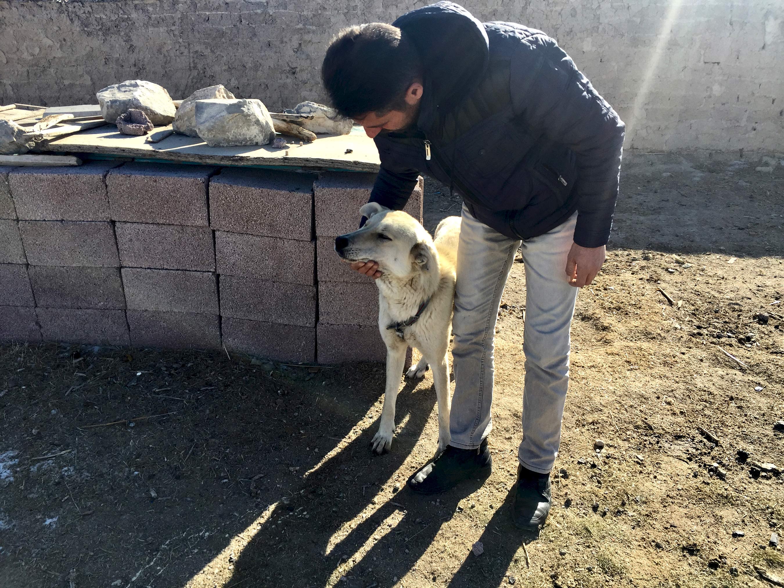 Gönüllü Hayvan Dostları Projesi Örnek Alınıyor