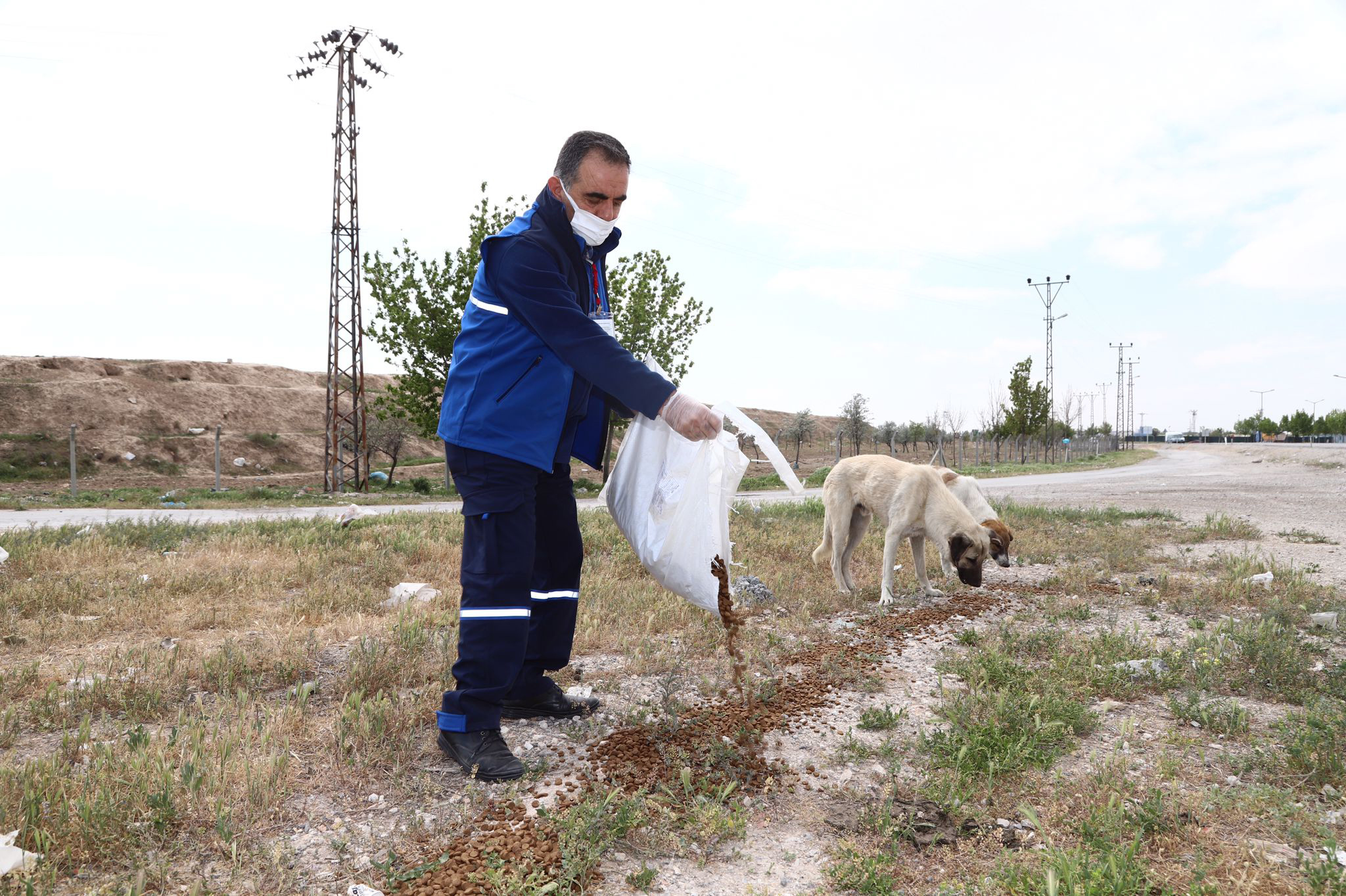 Can Dostlarımız Tam Kapanmada da Büyükşehir'e Emanet 