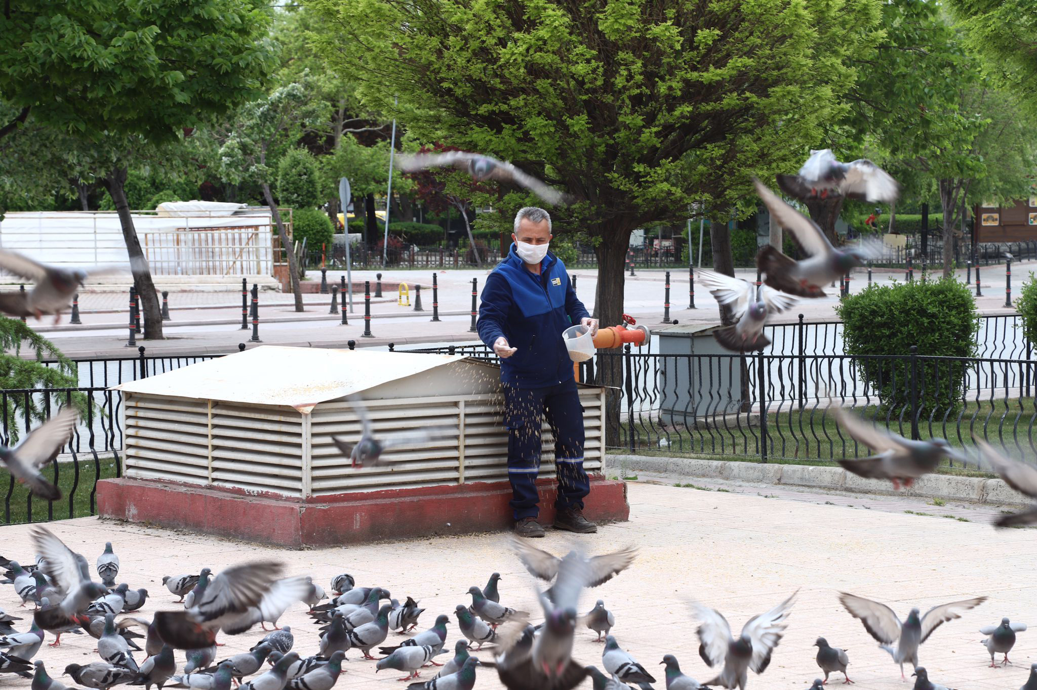 Can Dostlarımız Tam Kapanmada da Büyükşehir'e Emanet 