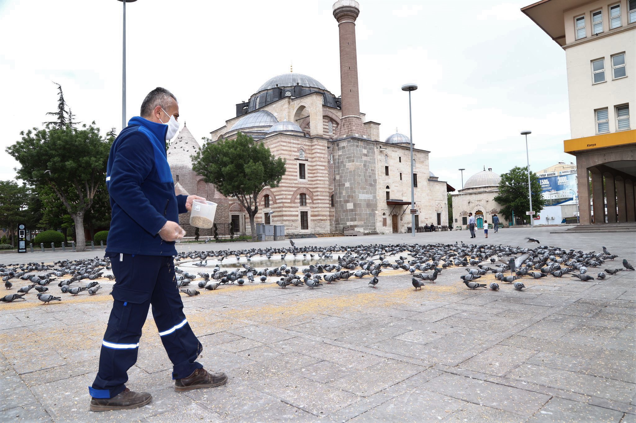 Can Dostlarımız Tam Kapanmada da Büyükşehir'e Emanet 