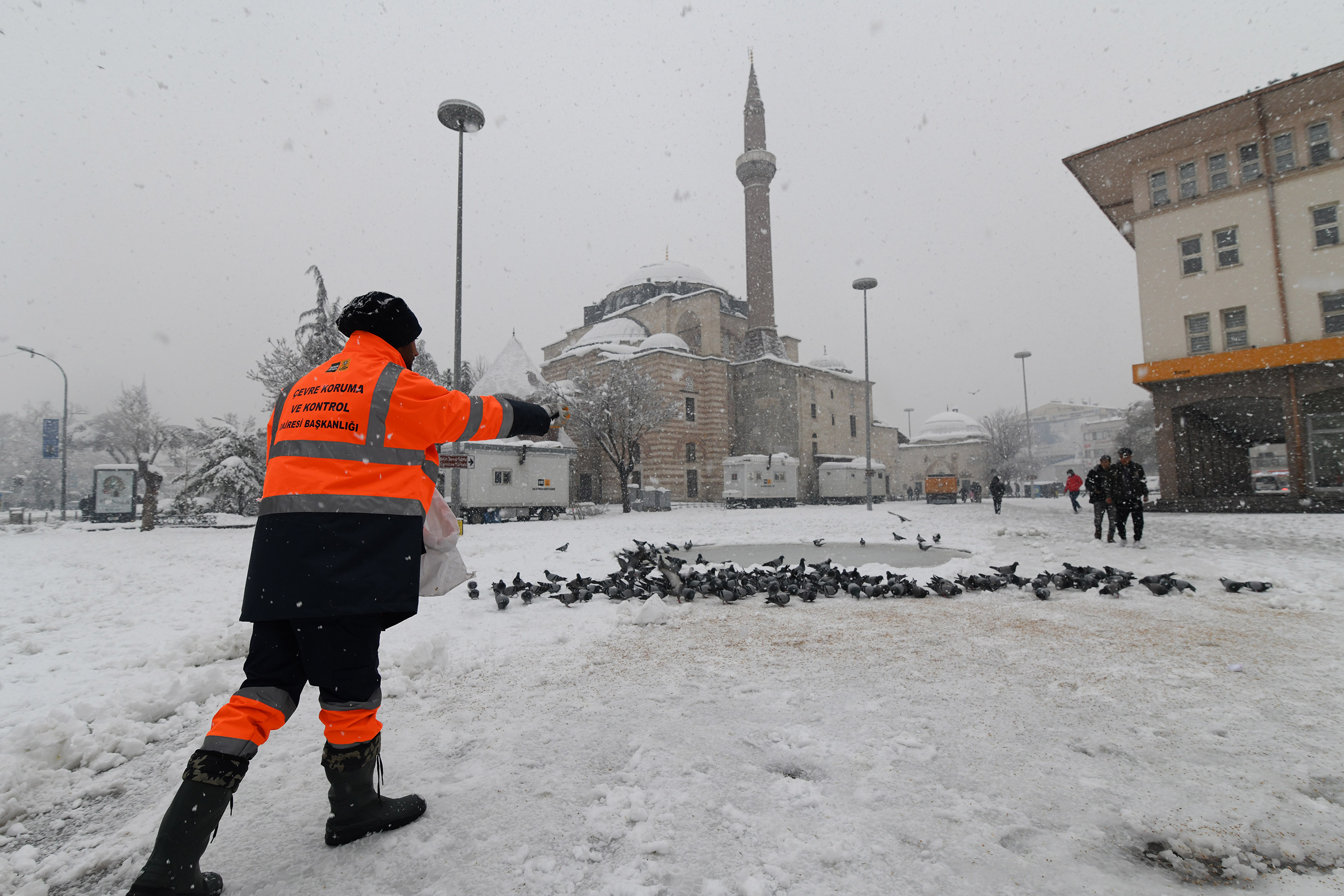 Büyükşehir Doğadaki Sahipsiz Hayvanlara Yem Bırakıyor