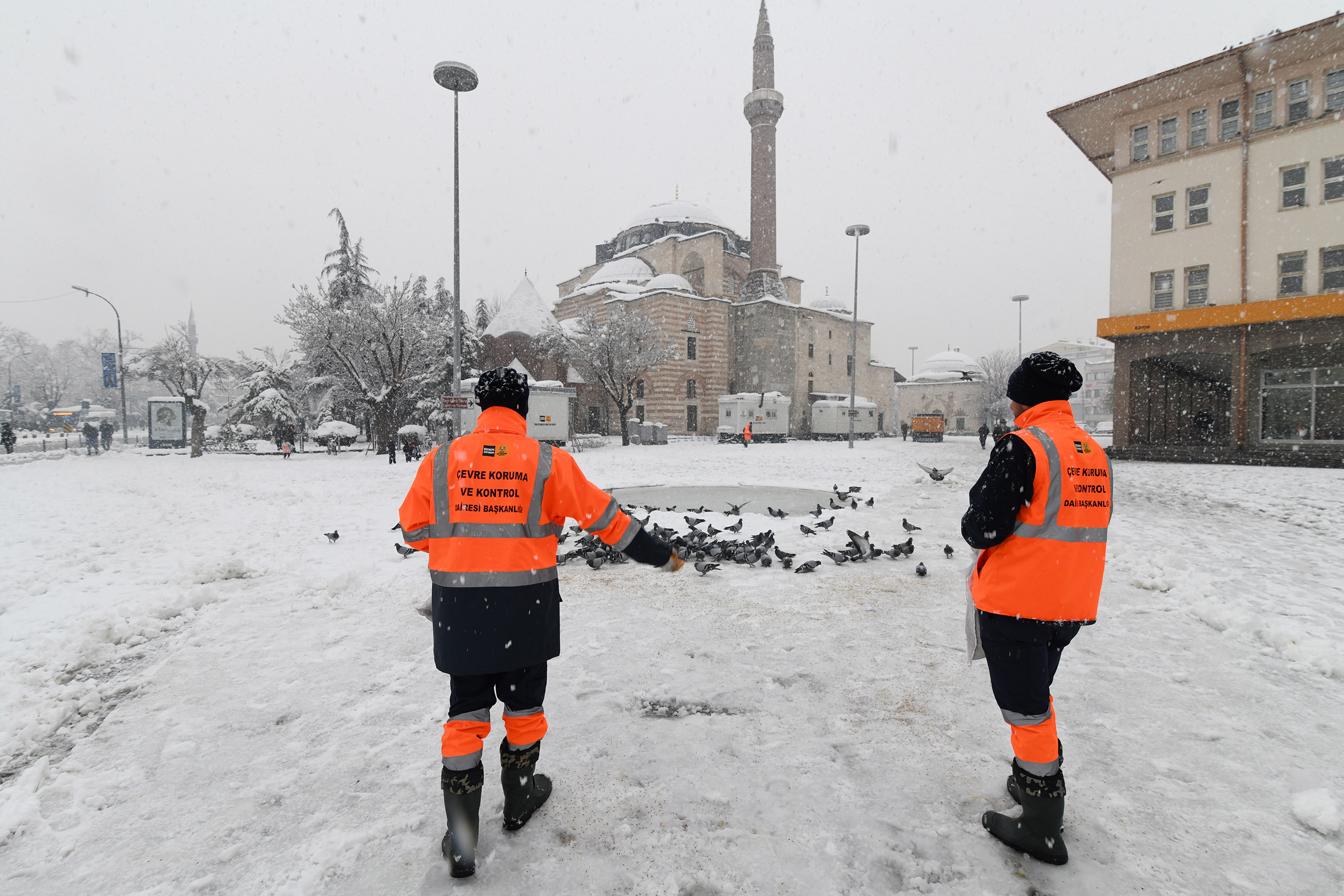 Büyükşehir Doğadaki Sahipsiz Hayvanlara Yem Bırakıyor