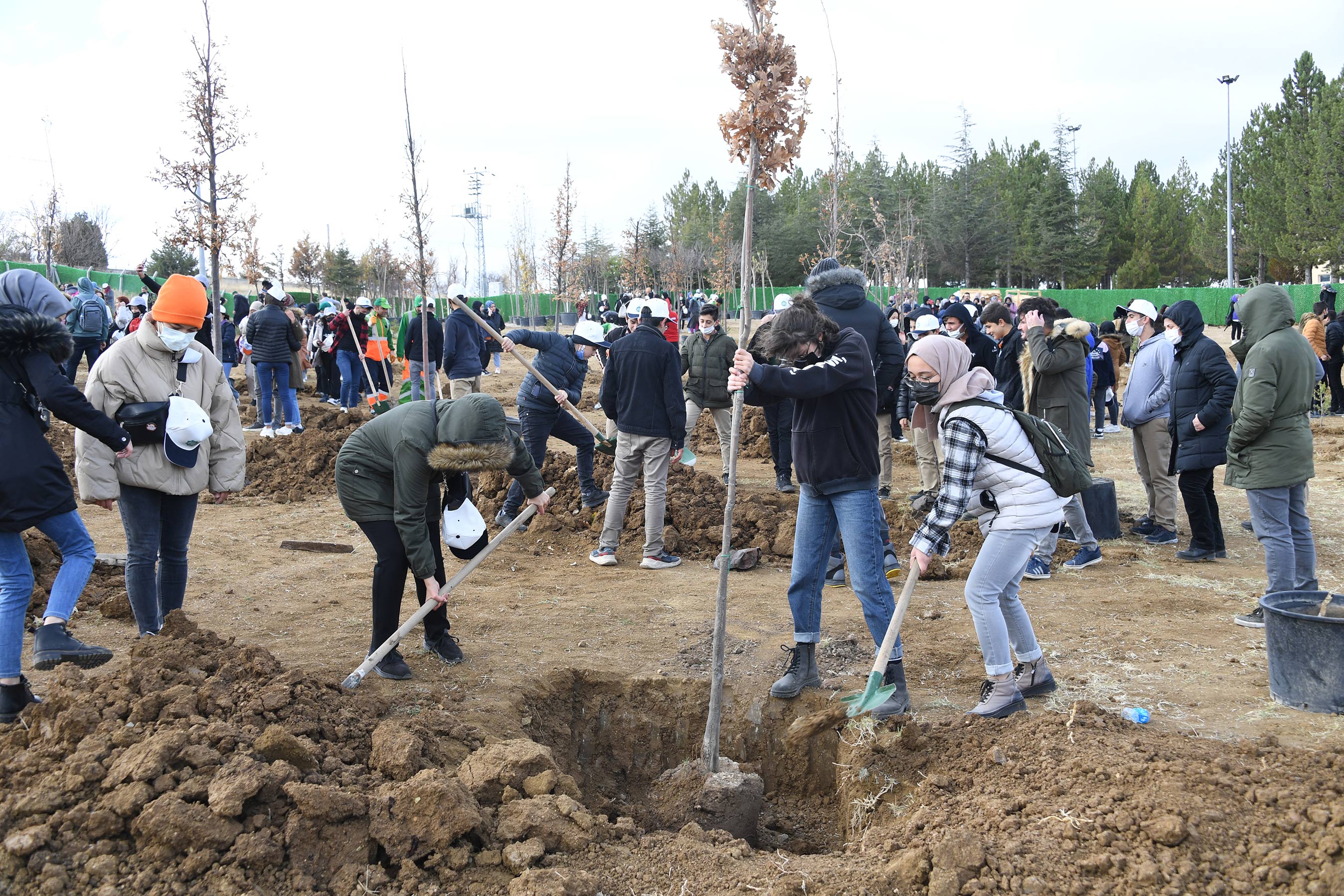 Büyükşehir 5 Bin Fidanı Toprakla Buluşturdu