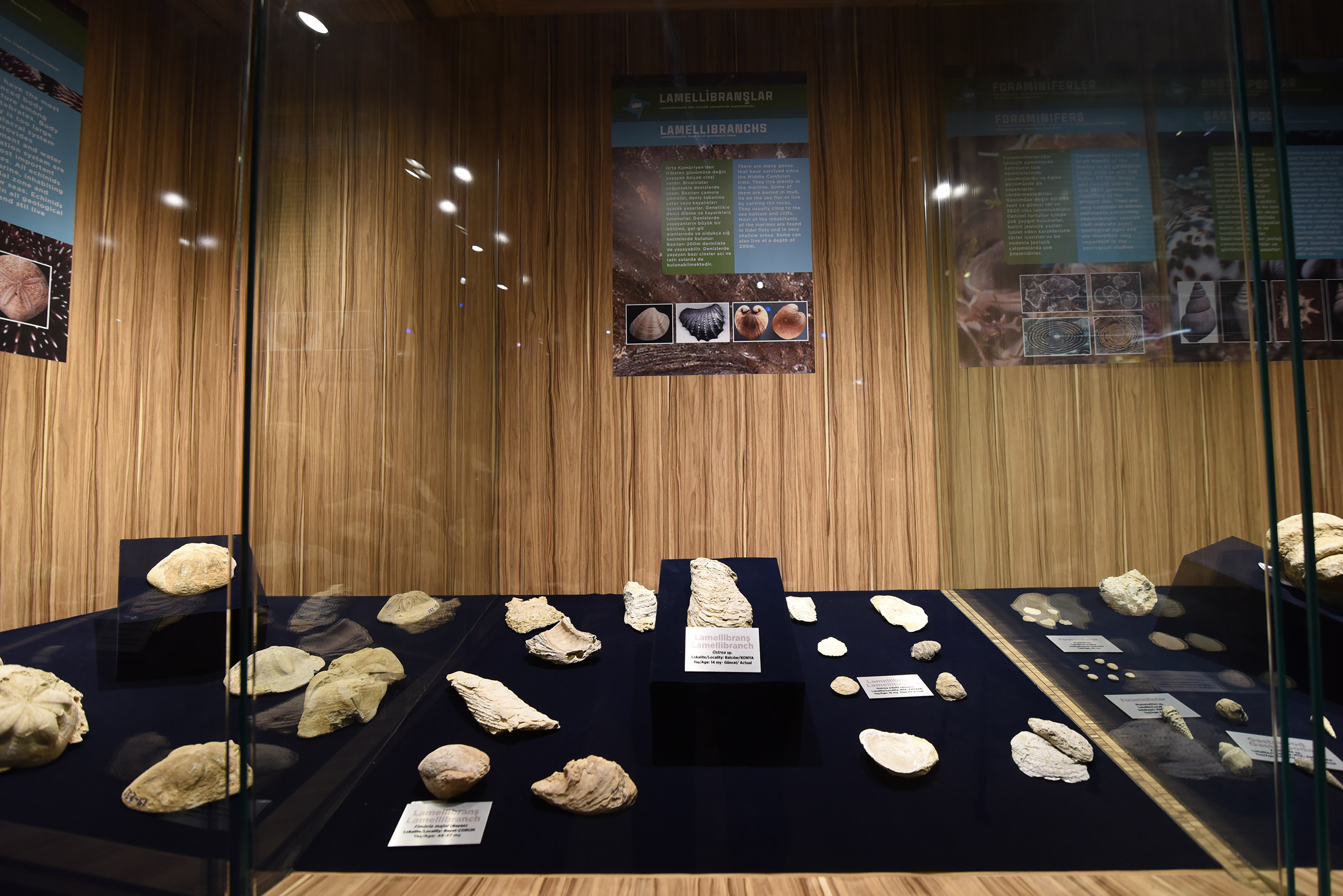 Konya Bilim Merkezi'nde 'Fosil-Taş-Mineral' Sergisi